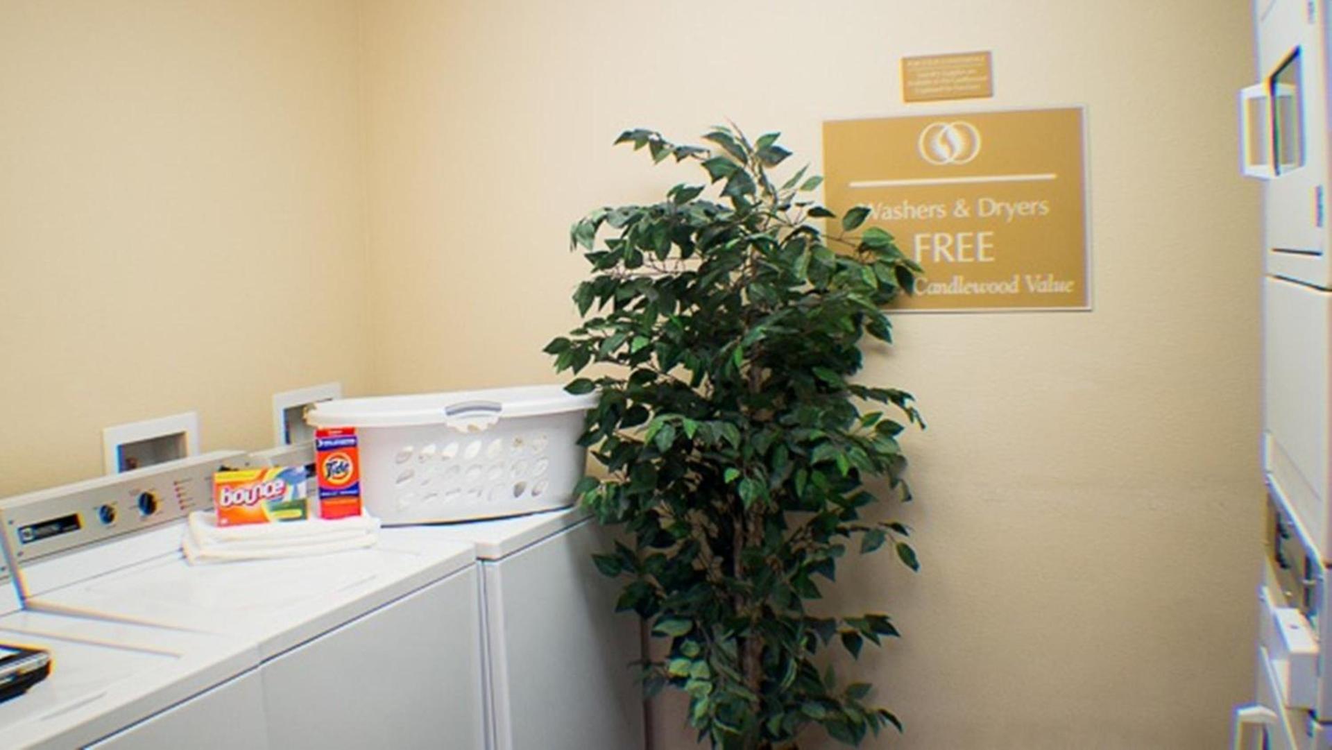 Candlewood Suites Jacksonville by IHG photo 3