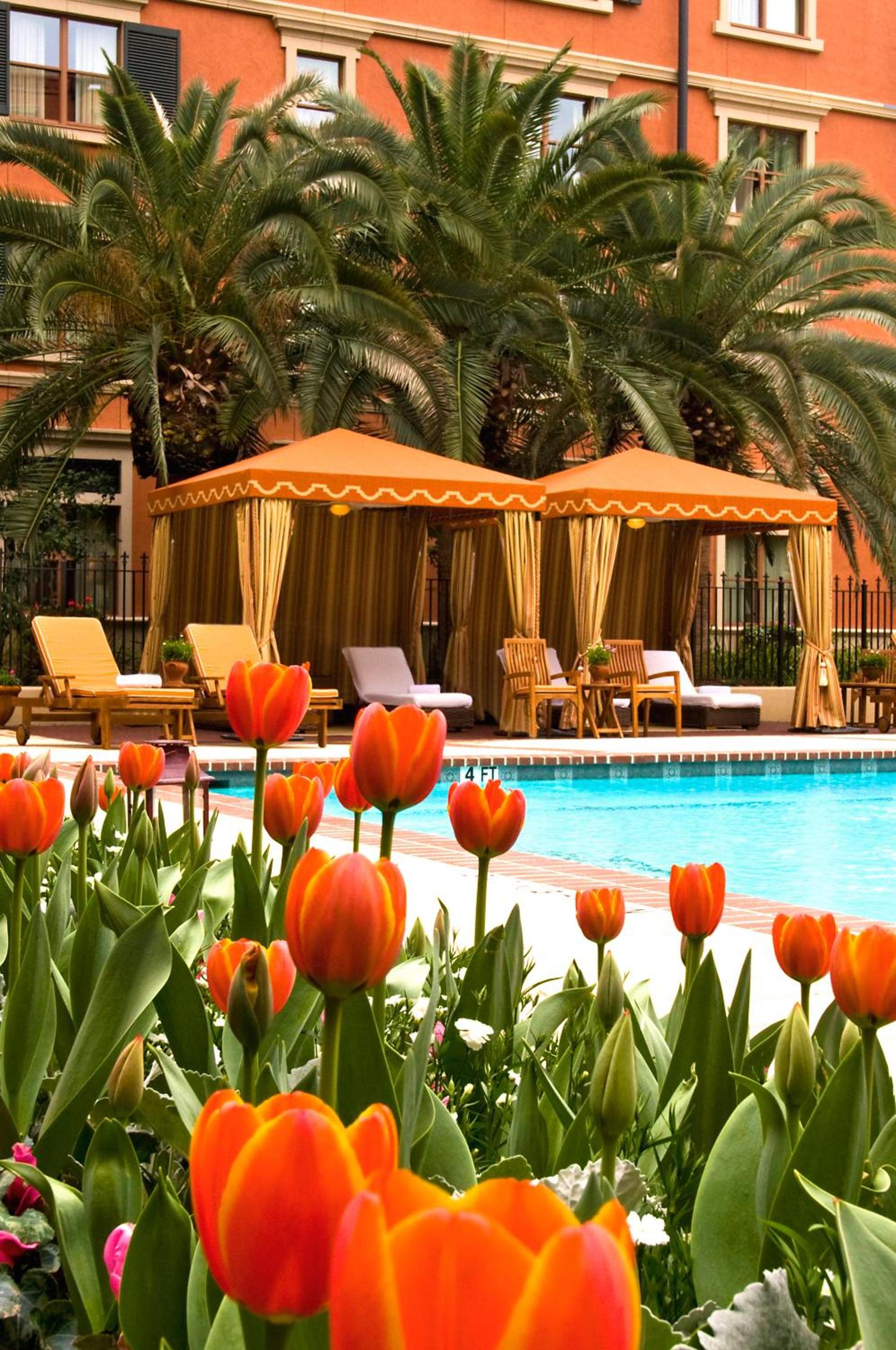 Hotel Granduca Houston photo 7