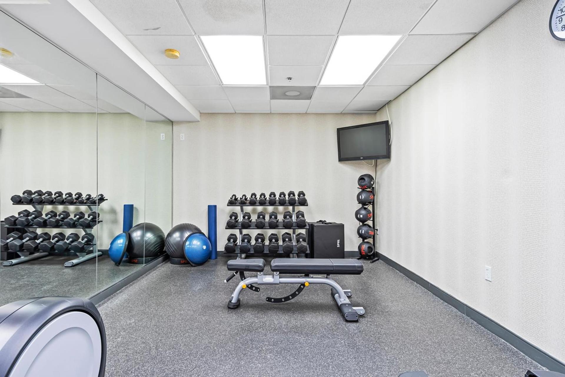 Holiday Inn - St. Petersburg West by IHG photo 8
