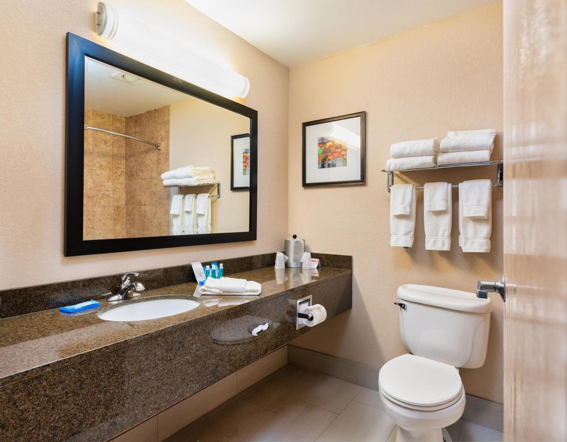 Country Inn & Suites by Radisson, South Haven, MI photo 22