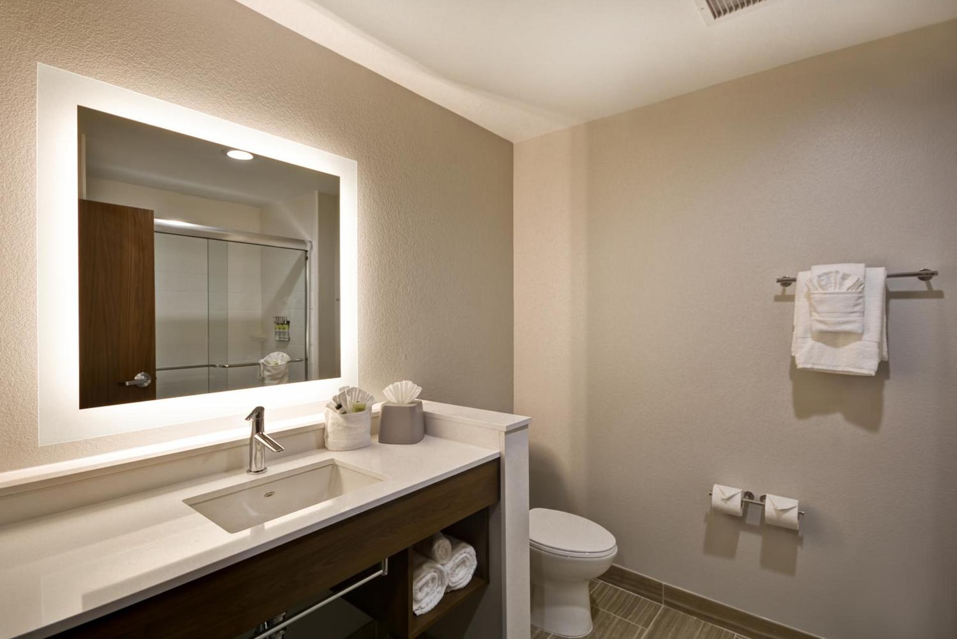 Holiday Inn Express & Suites - Houston NASA - Boardwalk Area by IHG photo 10