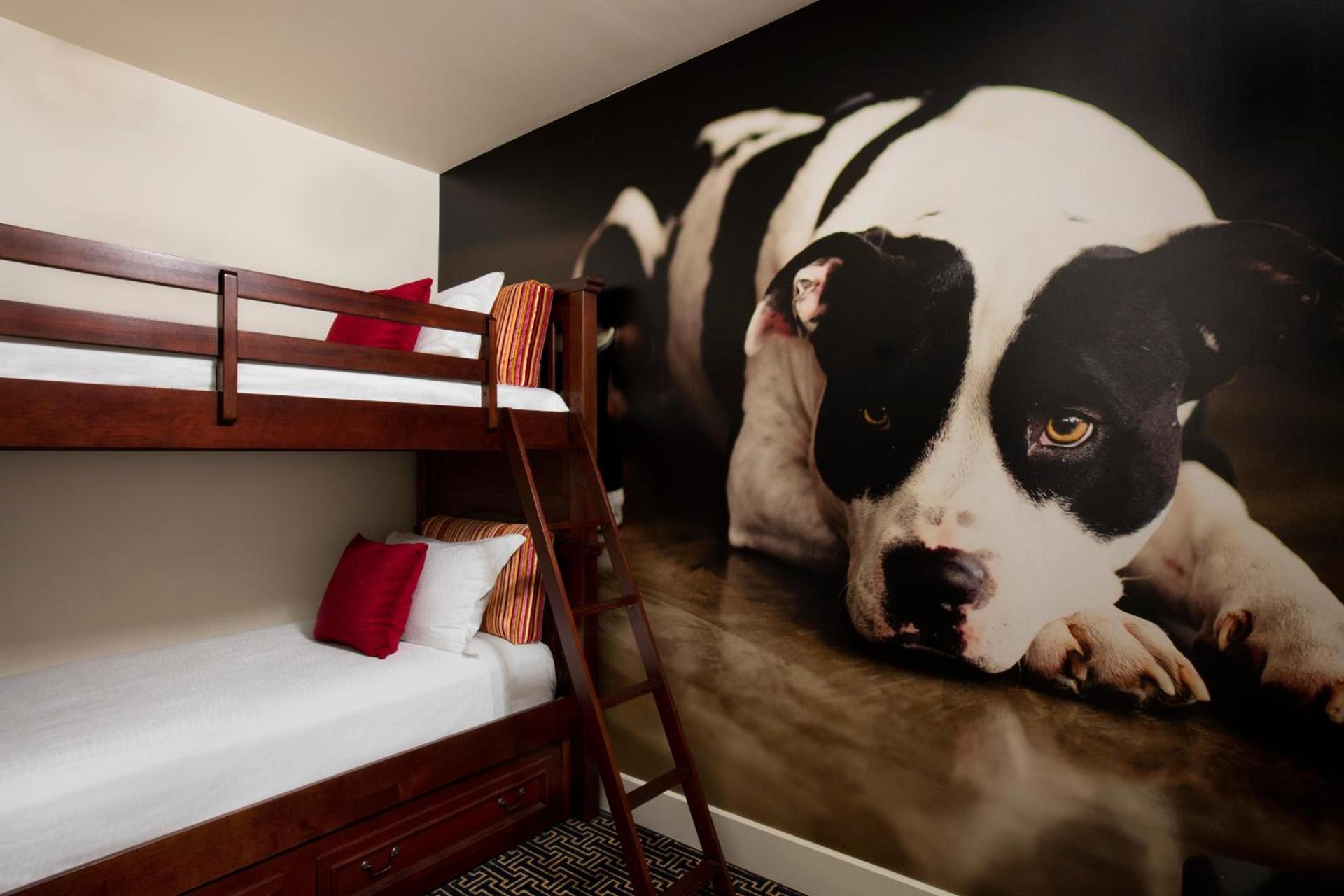 Kimpton Hotel Monaco Baltimore Inner Harbor by IHG photo 60