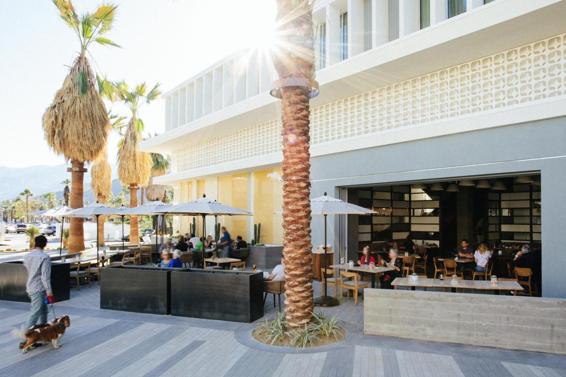 Kimpton Rowan Palm Springs Hotel by IHG photo 70