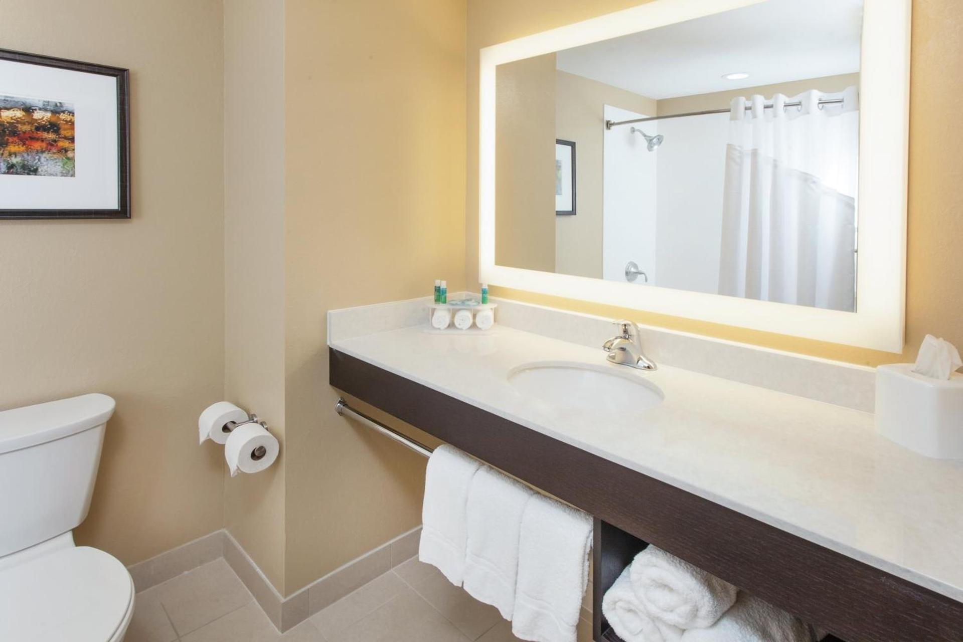 Holiday Inn Express & Suites Sandusky by IHG photo 14