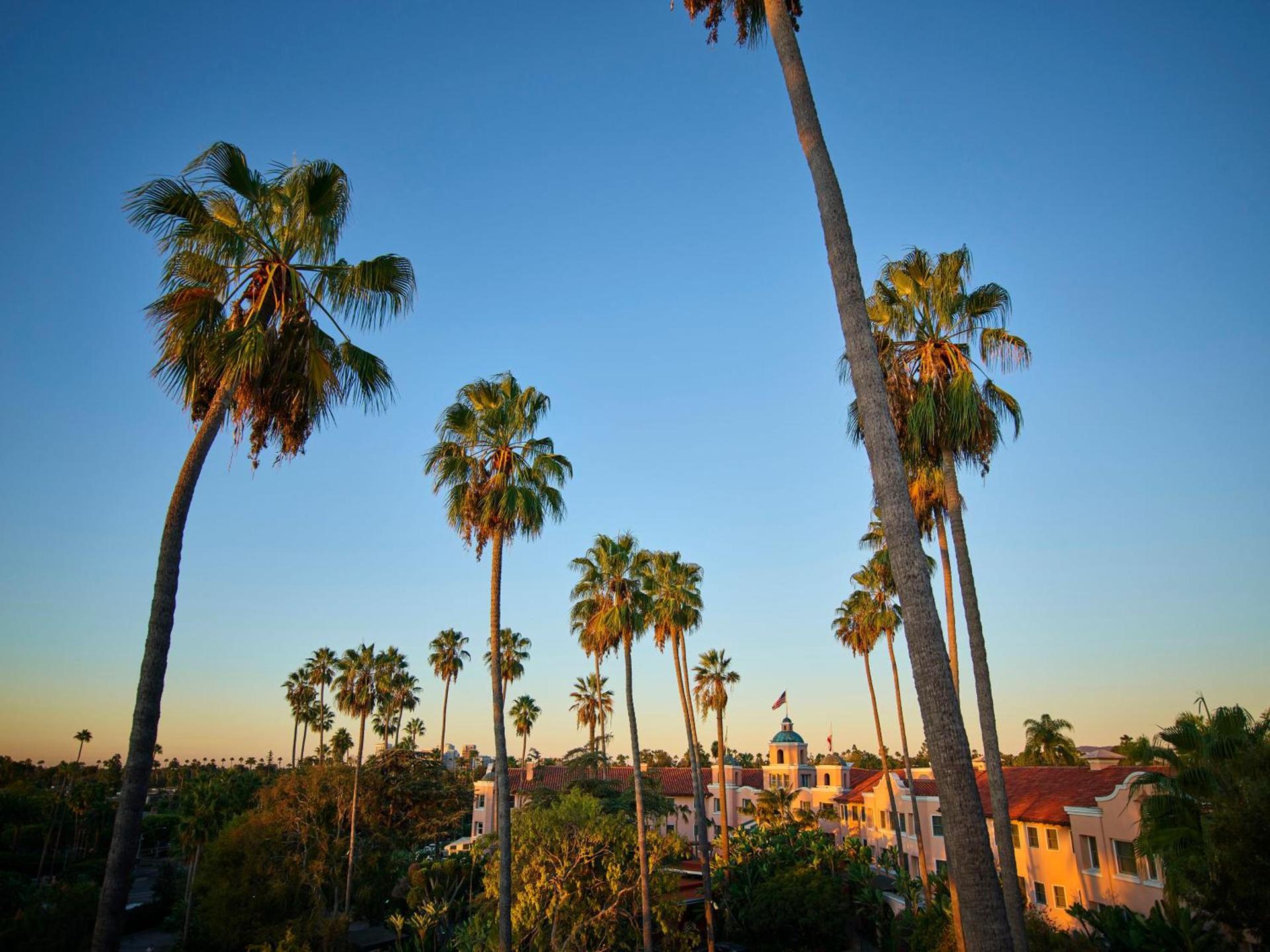 The Beverly Hills Hotel - Dorchester Collection photo 19