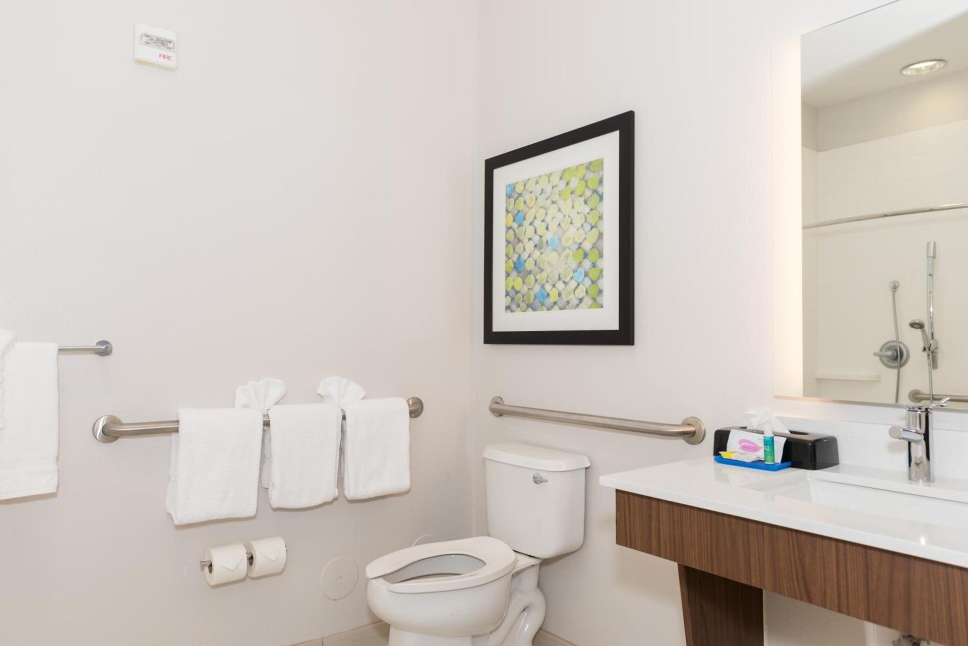 Holiday Inn Express Hotel & Suites Tampa-USF-Busch Gardens by IHG photo 2