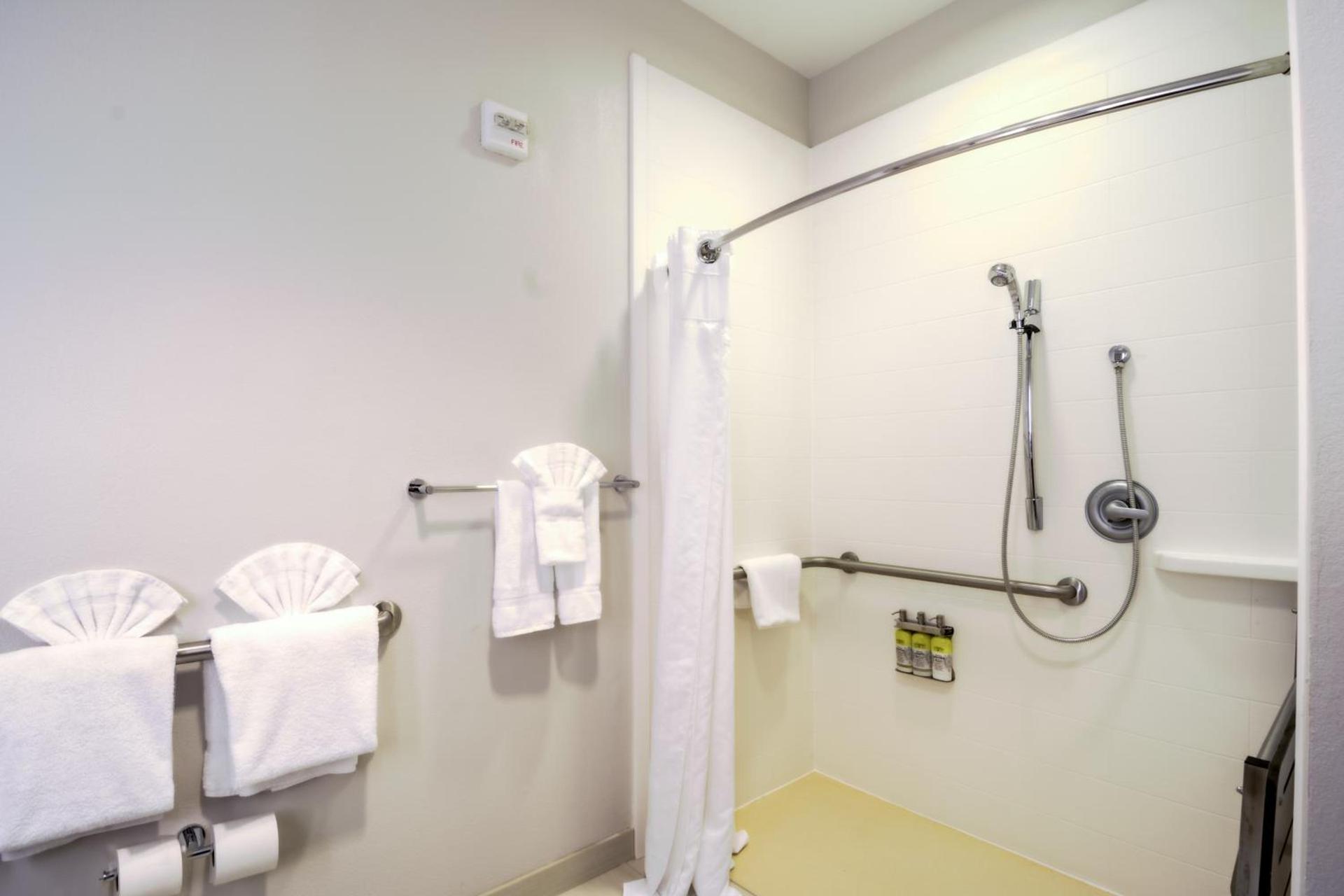 Holiday Inn Express Hotel & Suites Tampa-USF-Busch Gardens by IHG photo 3