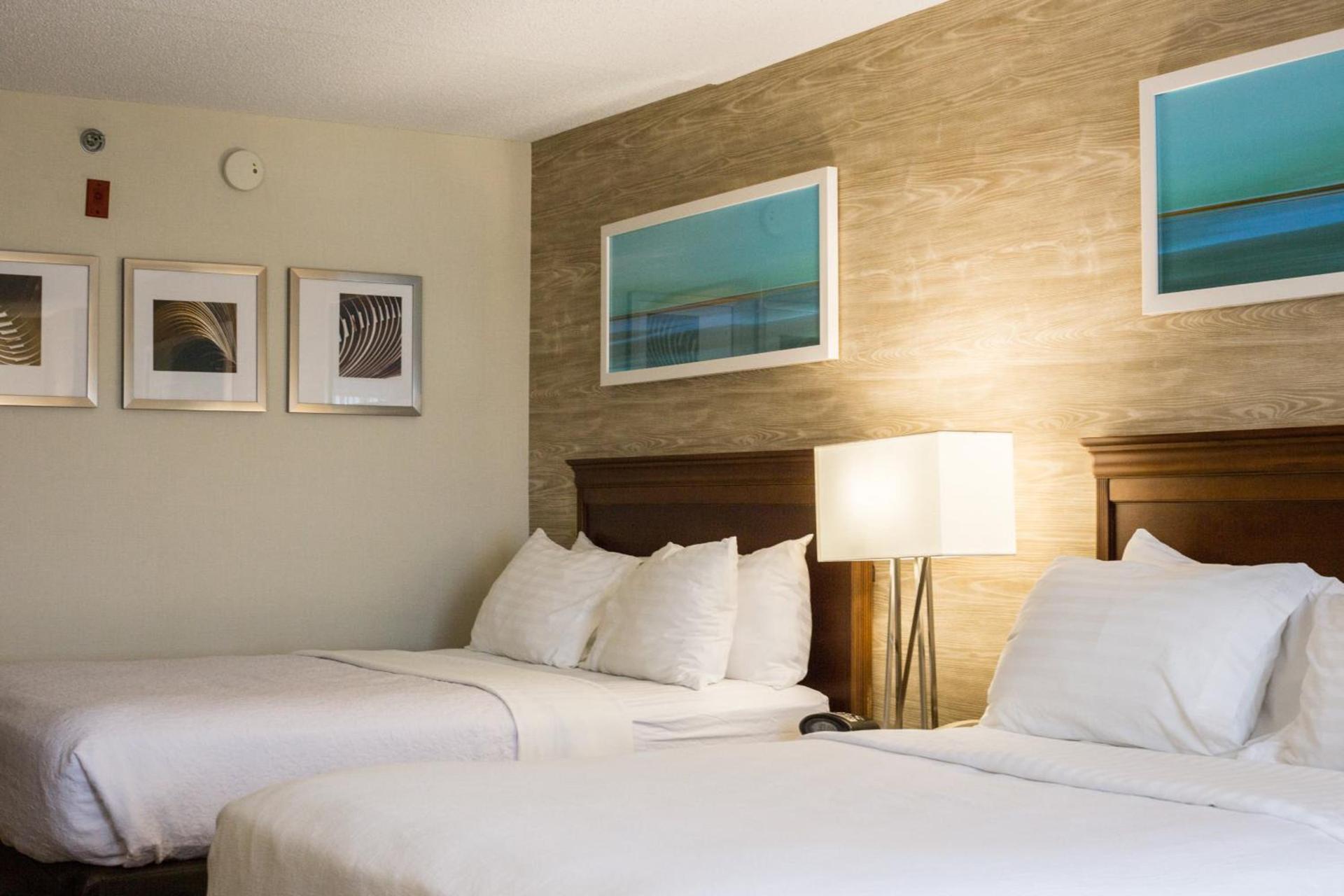 Holiday Inn & Suites Bolingbrook by IHG photo 41