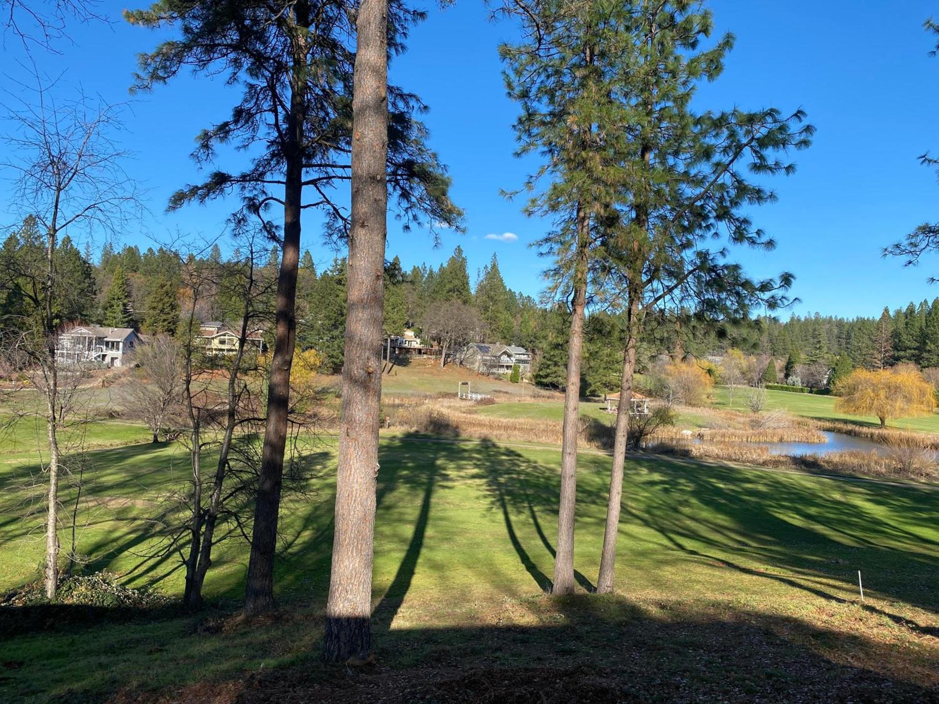 Alta Sierra Village Inn photo 4