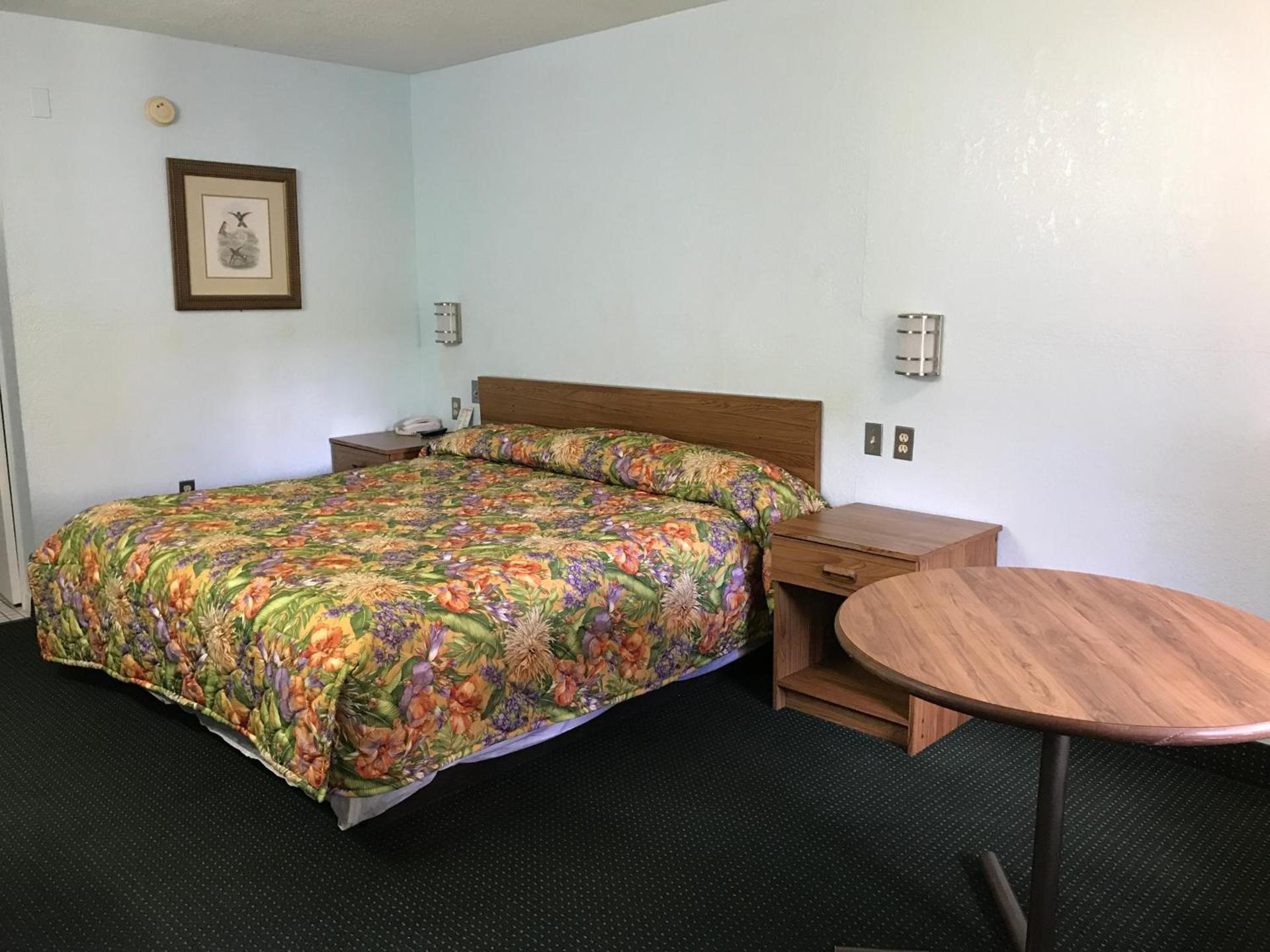 Flamingo Inn photo 4