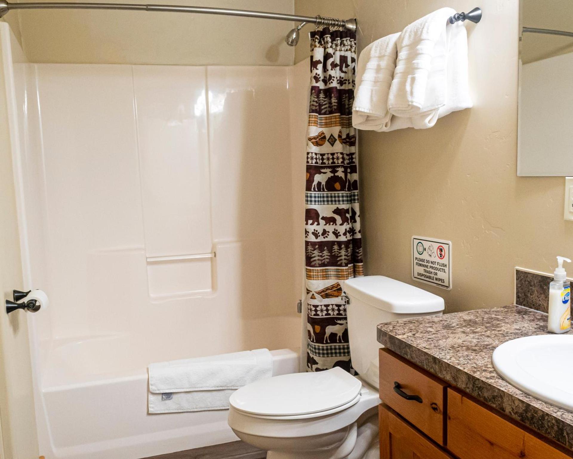 Sawtelle Mountain Resort photo 80