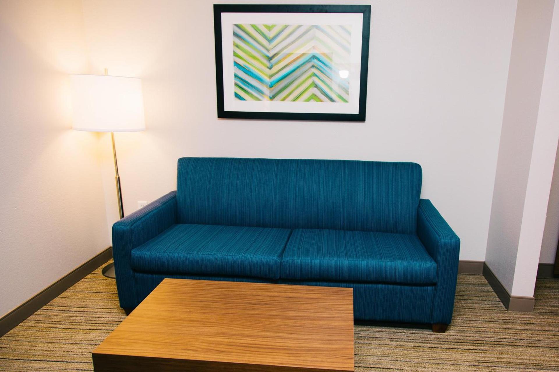 Holiday Inn Express Hotel & Suites Tampa-USF-Busch Gardens by IHG photo 61