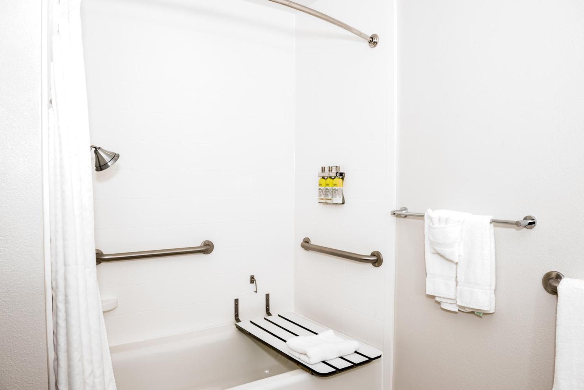 Holiday Inn Express Hotel & Suites Tampa-USF-Busch Gardens by IHG photo 32
