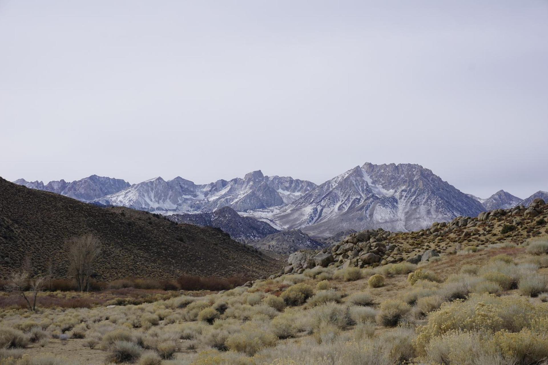 Bristlecone Motel photo 8