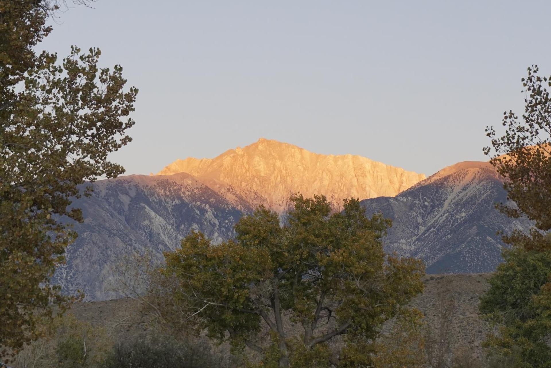 Bristlecone Motel photo 9