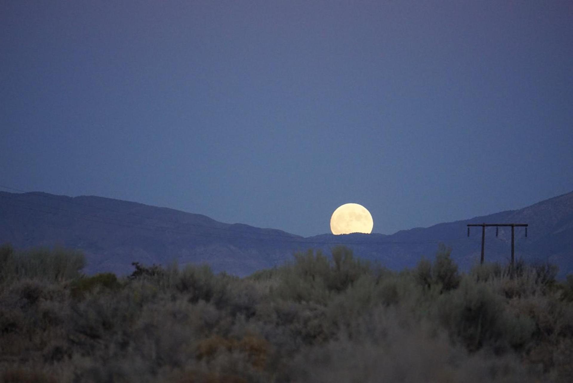 Bristlecone Motel photo 13