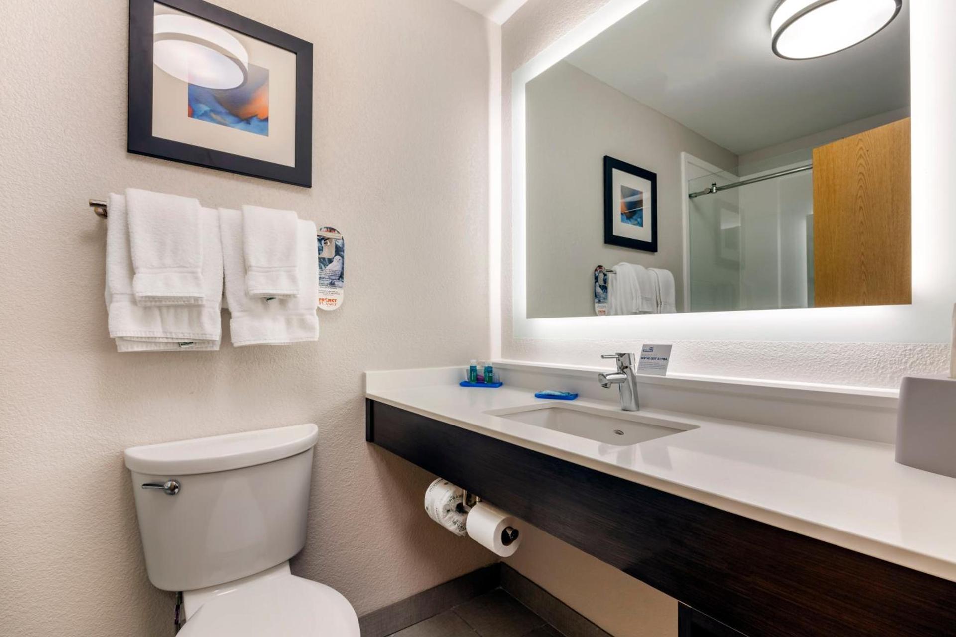 Holiday Inn Express Metropolis by IHG photo 49
