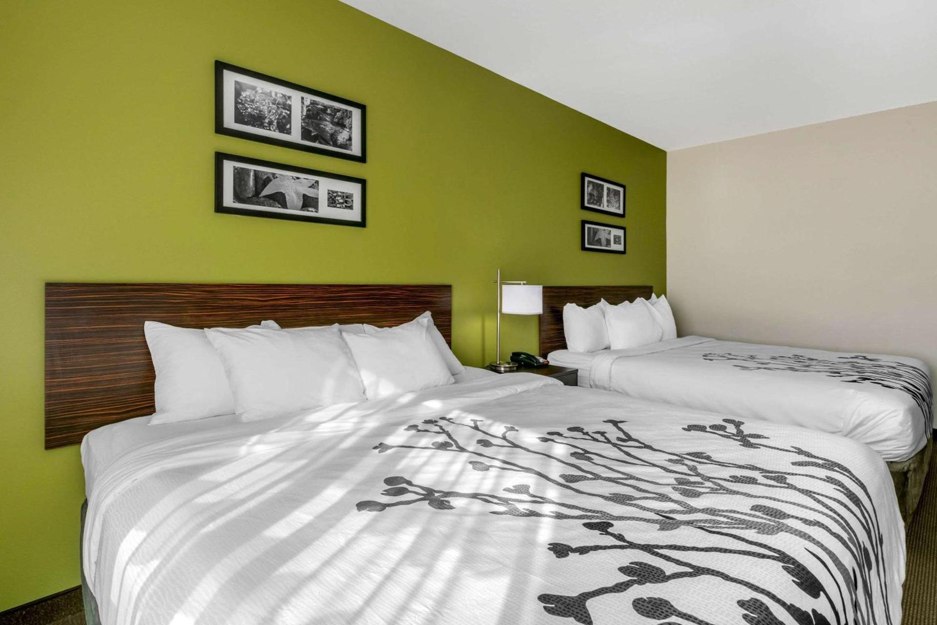 Sleep Inn & Suites Columbia I-65 photo 13