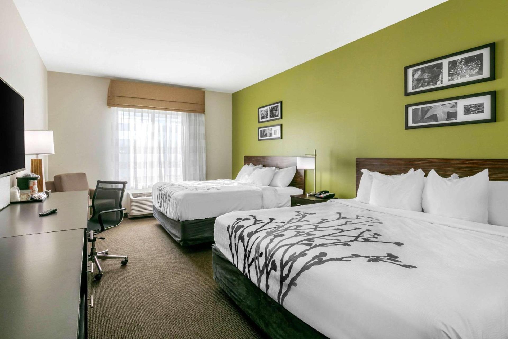 Sleep Inn & Suites Columbia I-65 photo 10