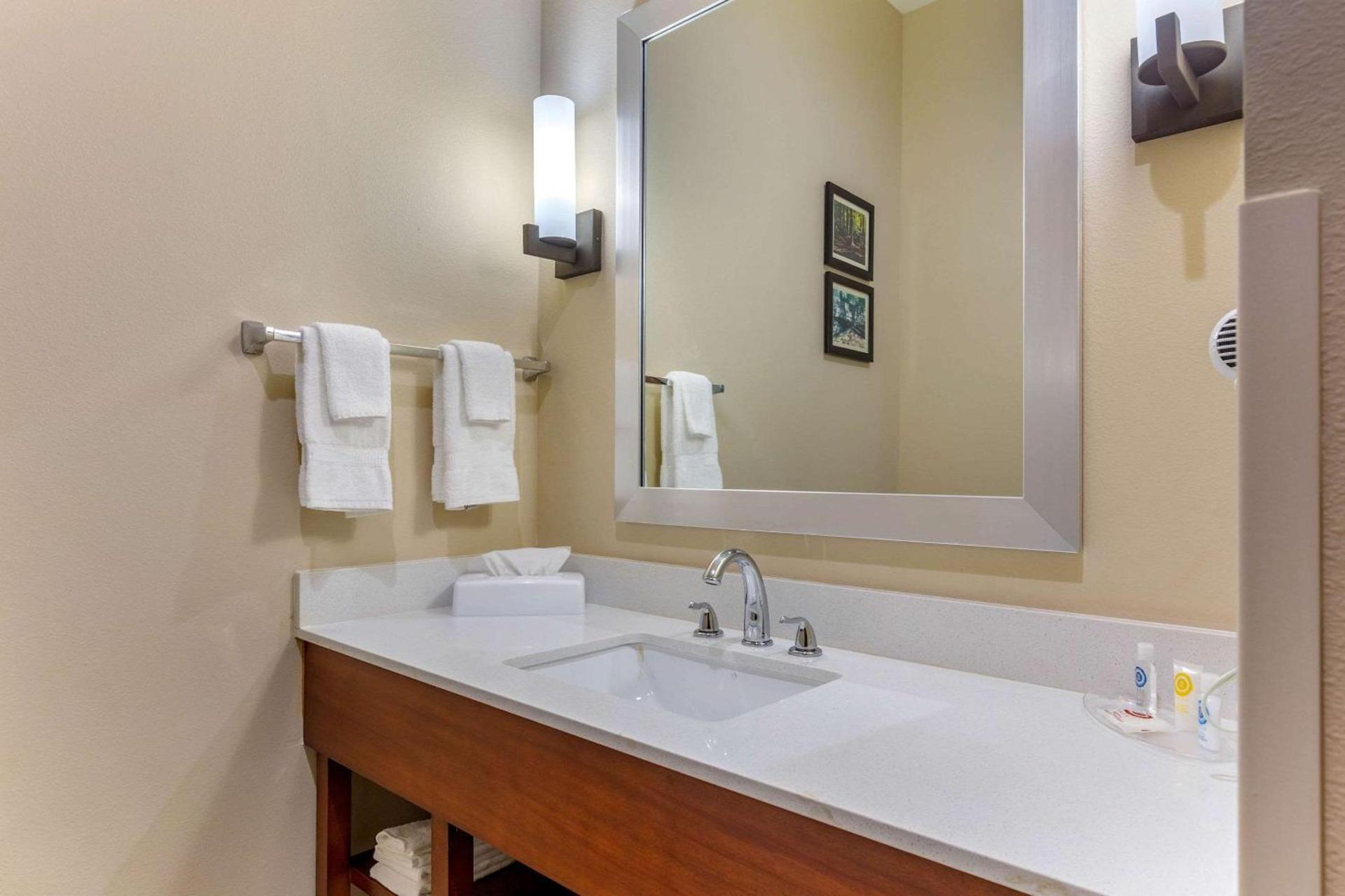Comfort Suites Greensboro-High Point photo 23
