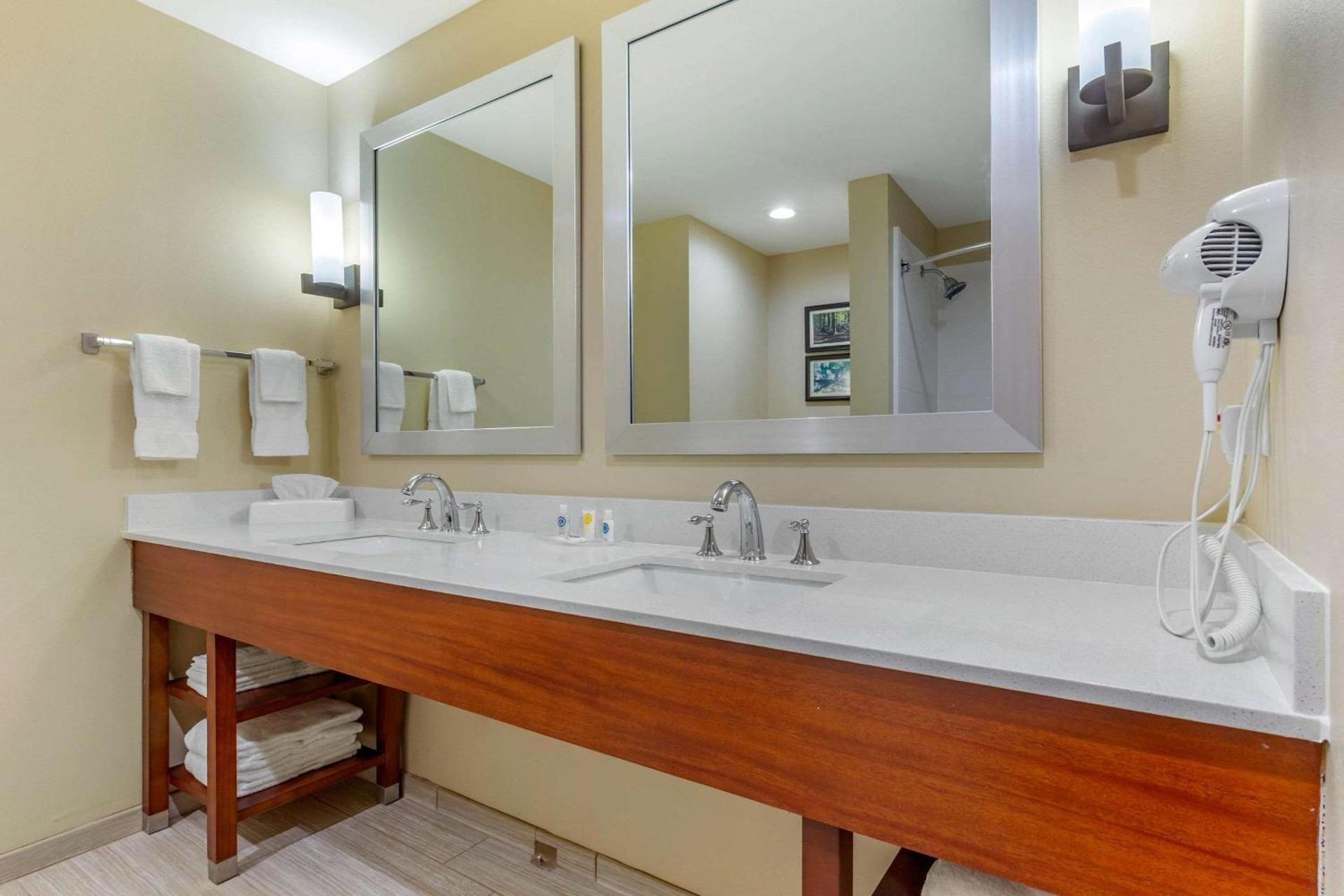 Comfort Suites Greensboro-High Point photo 24