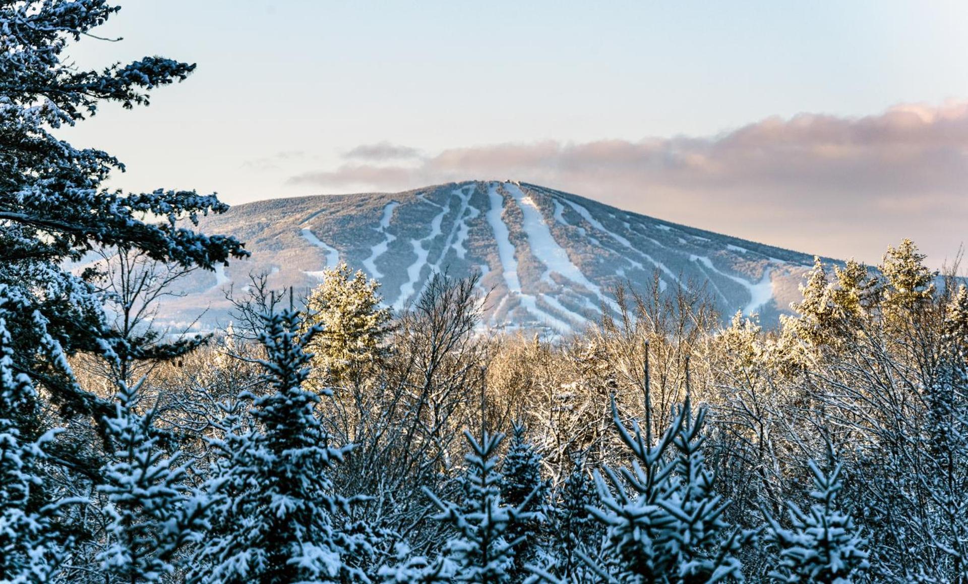 The Black Bear Lodge at Stratton Mountain Resort photo 27