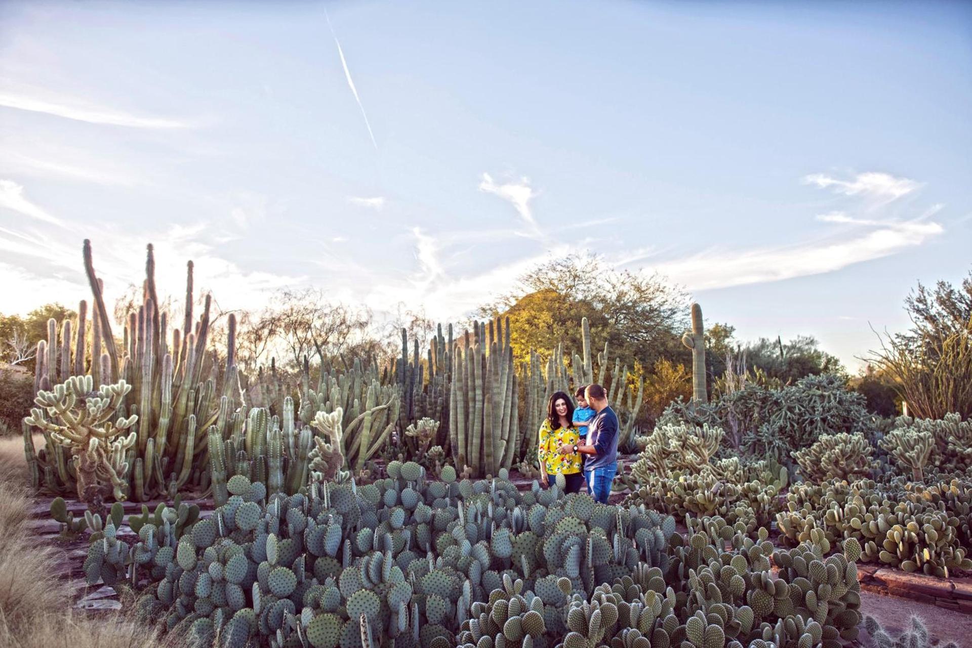 Holiday Inn Express & Suites - Phoenix - Airport North by IHG photo 58