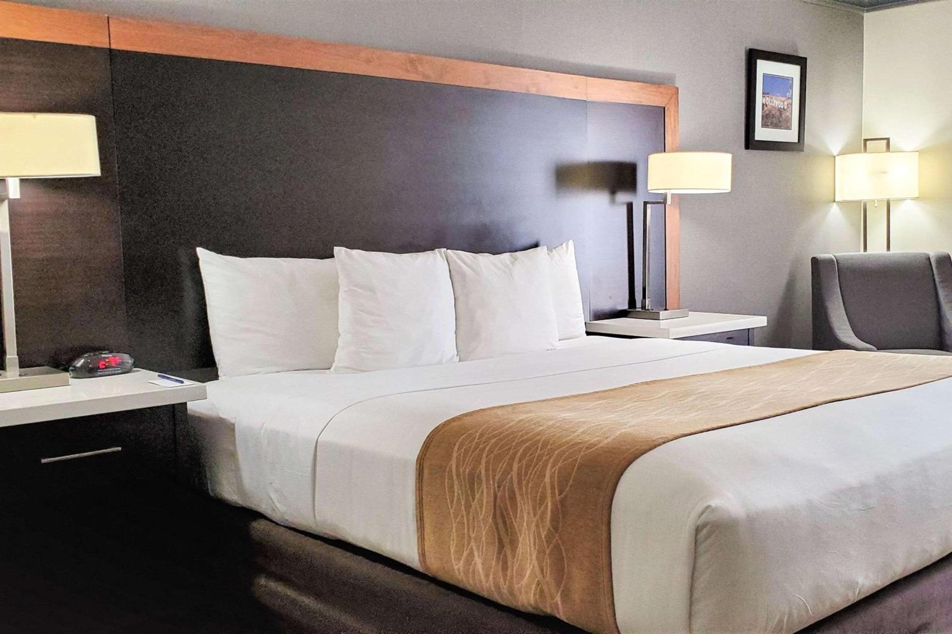 Comfort Inn & Suites Near Universal - N Hollywood - Burbank photo 38