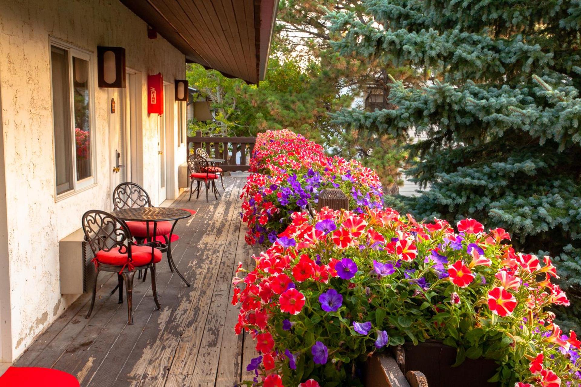 Bavarian Inn, Black Hills photo 31