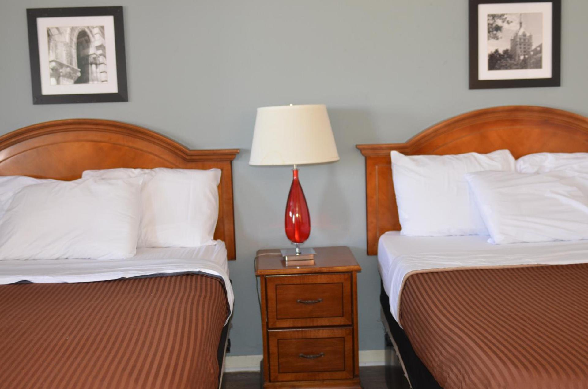 The Oak Motel photo 55