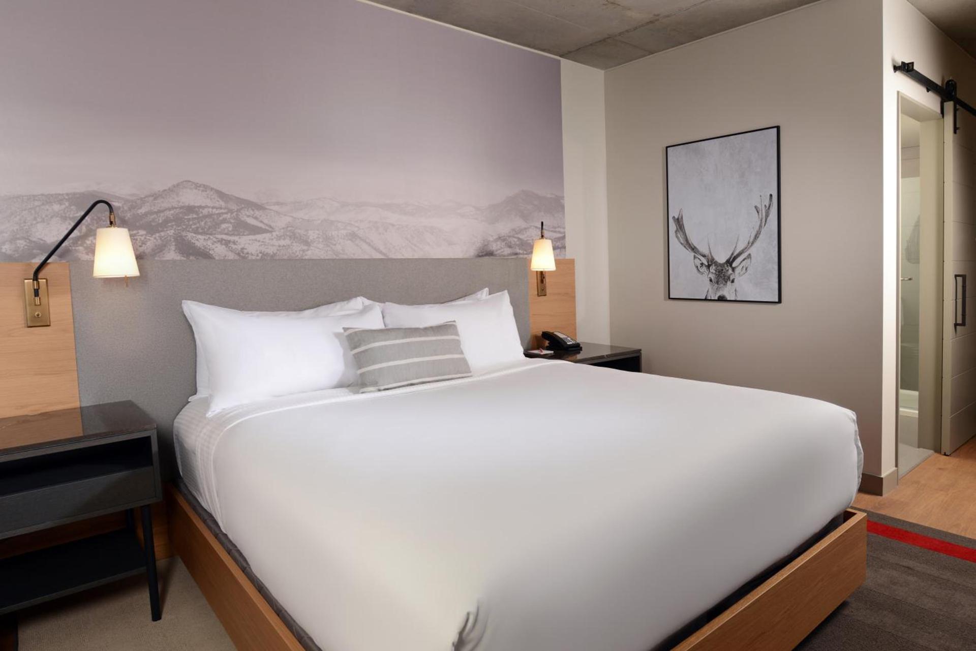 Hotel Indigo Denver Downtown - Union Station by IHG photo 12