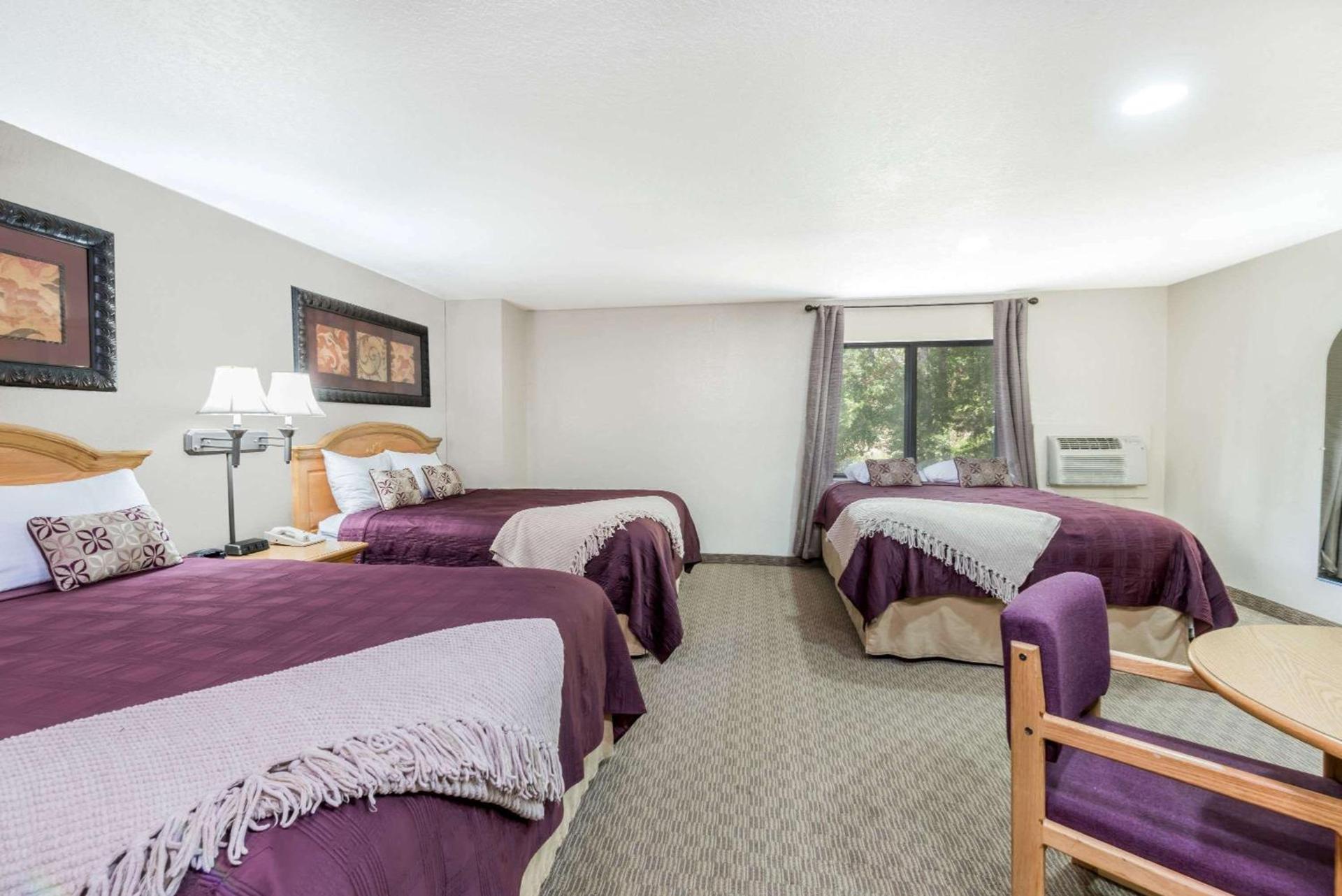 Super 8 by Wyndham Deadwood Black Hills Area photo 13