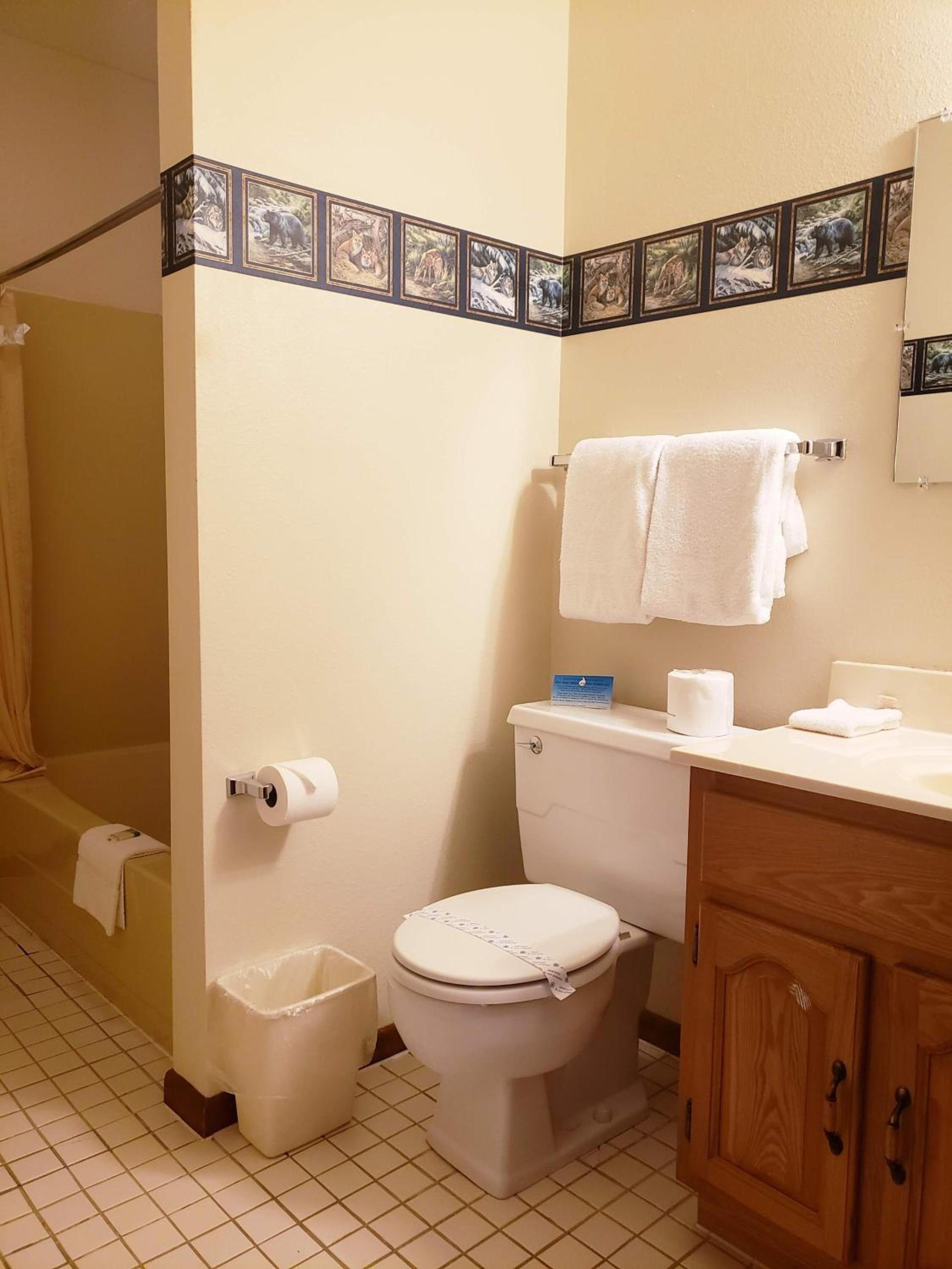 North Ironwood Acres - Black River Lodge photo 51