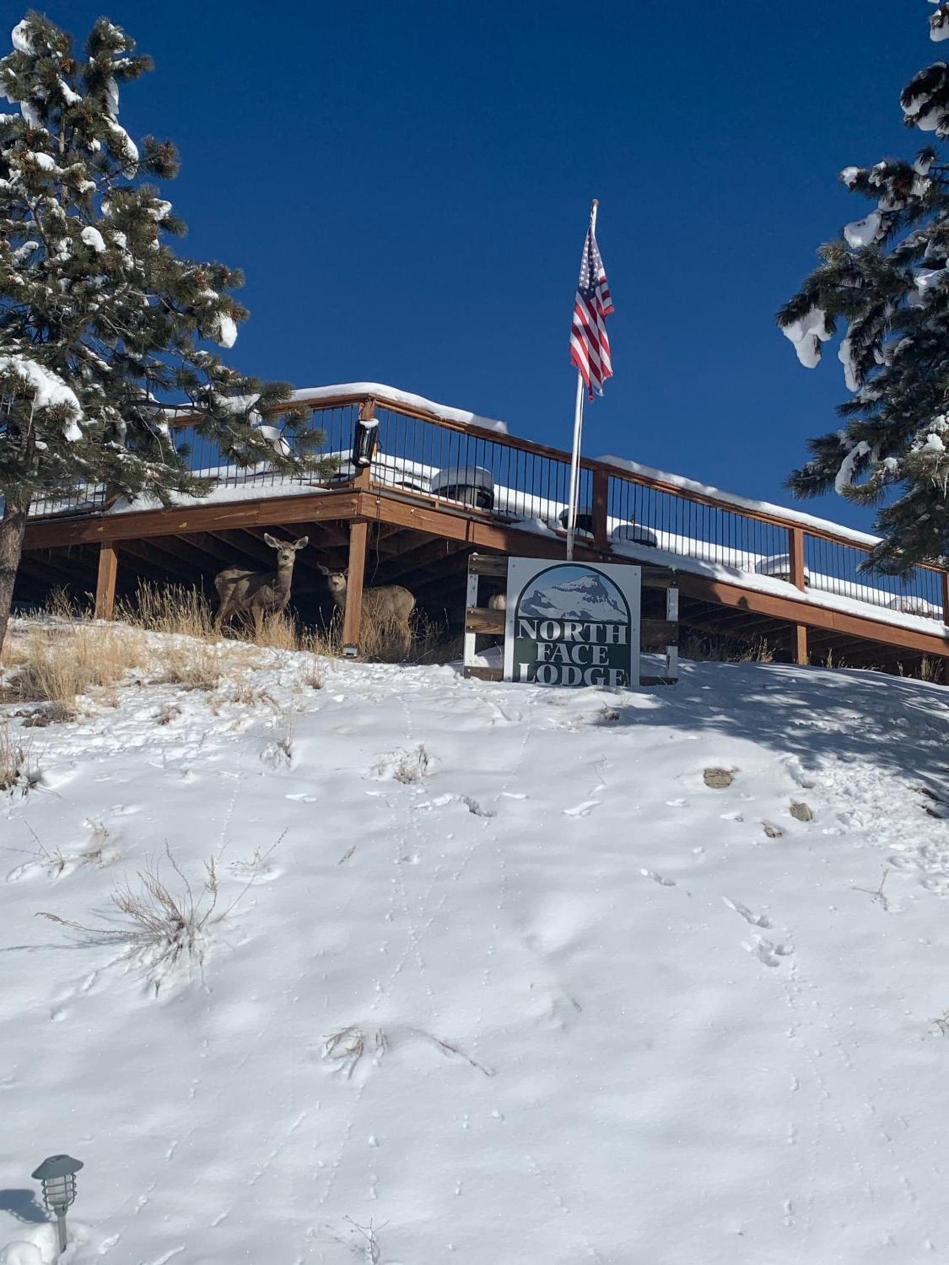 The North Face Lodge photo 1