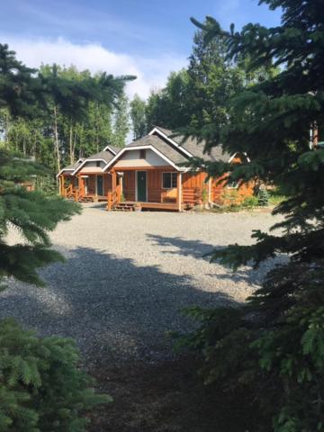 Denali Fireside Cabin & Suites photo 4