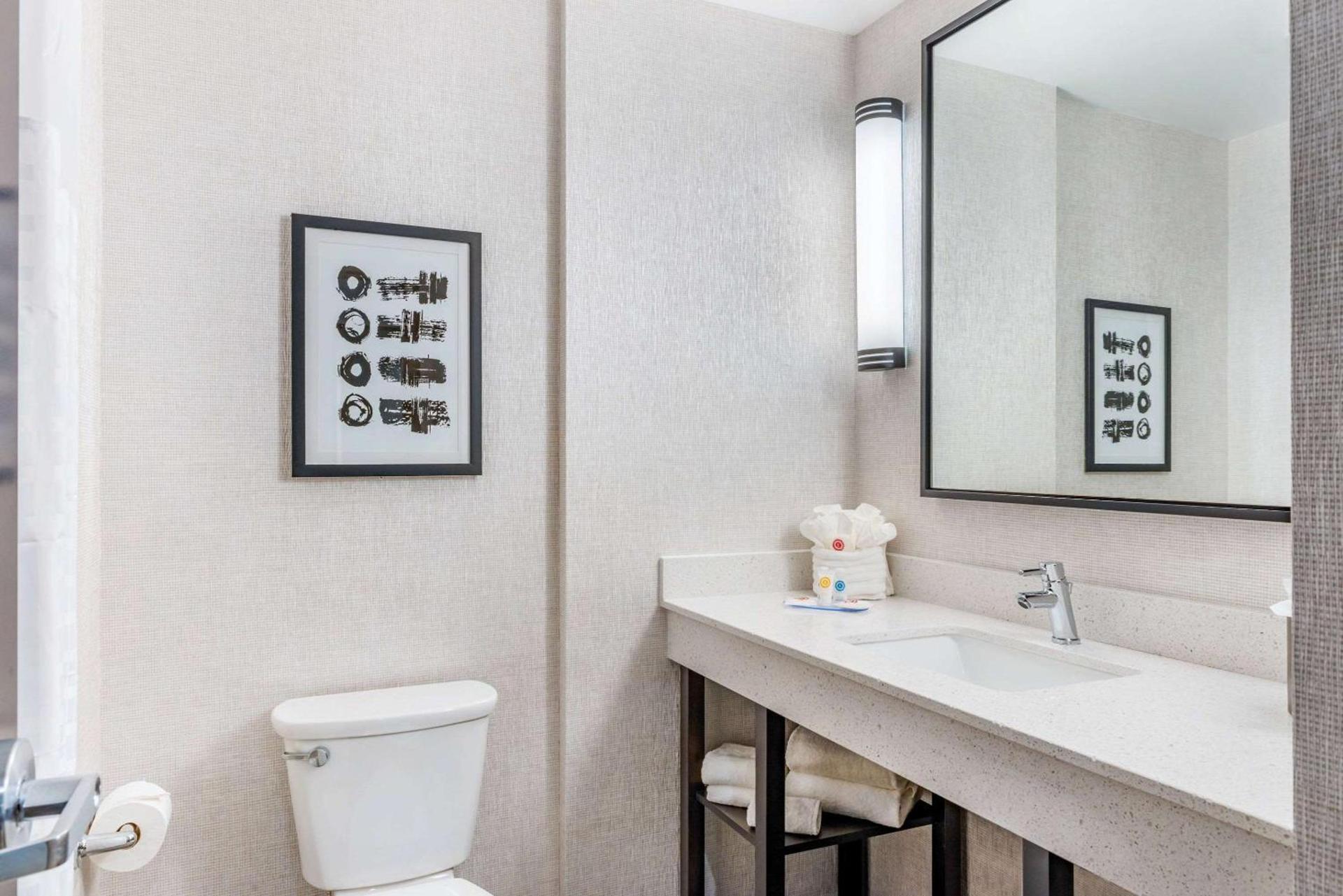 Comfort Inn & Suites Miami International Airport photo 16