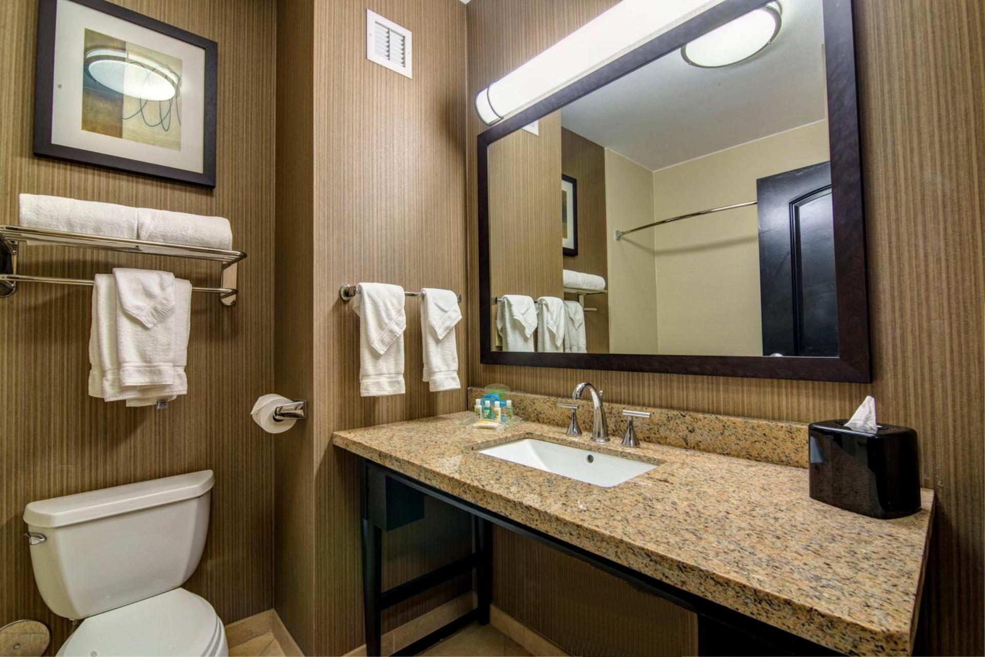 Holiday Inn Arlington Northeast by IHG photo 28