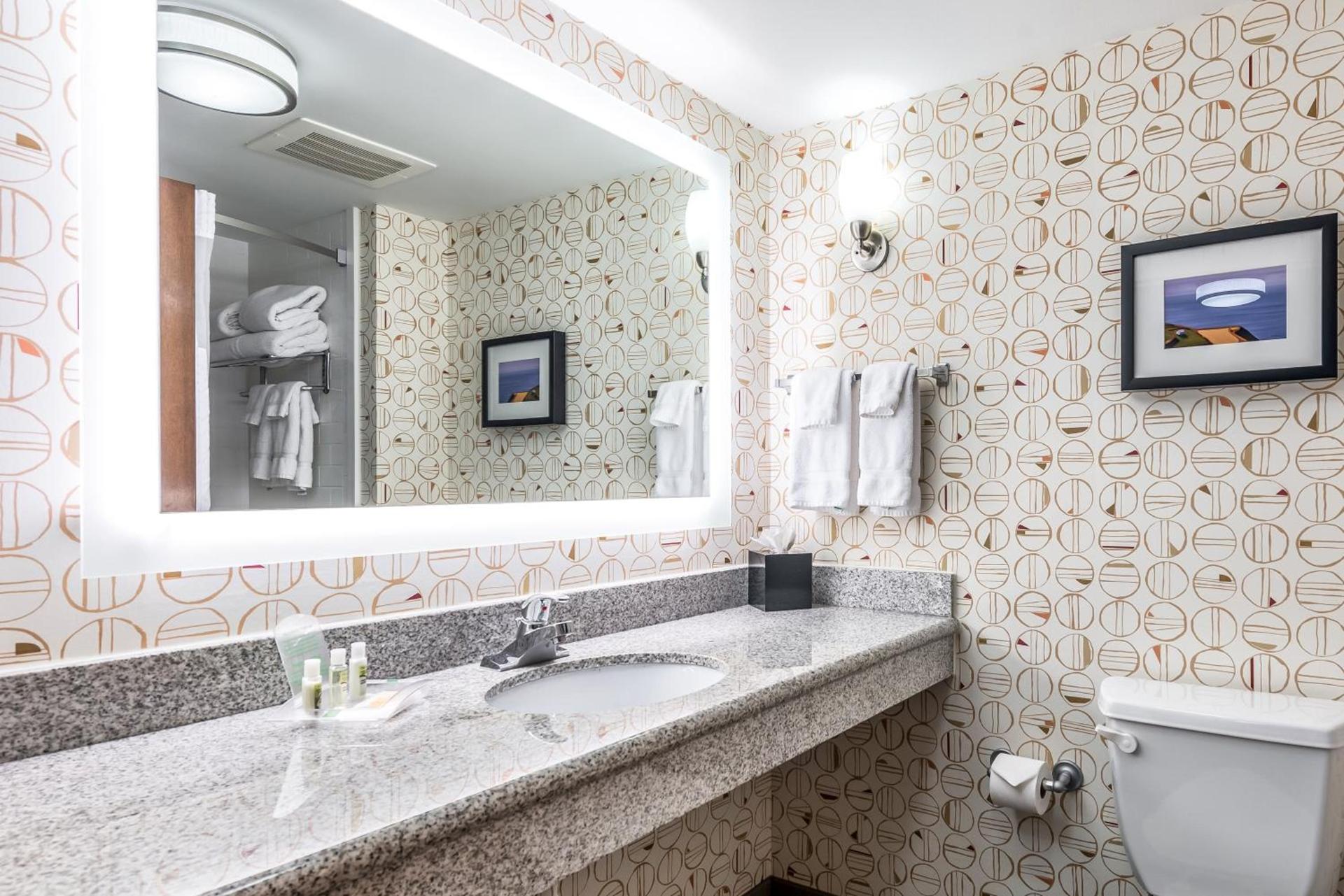 Holiday Inn - Indianapolis Downtown by IHG photo 21