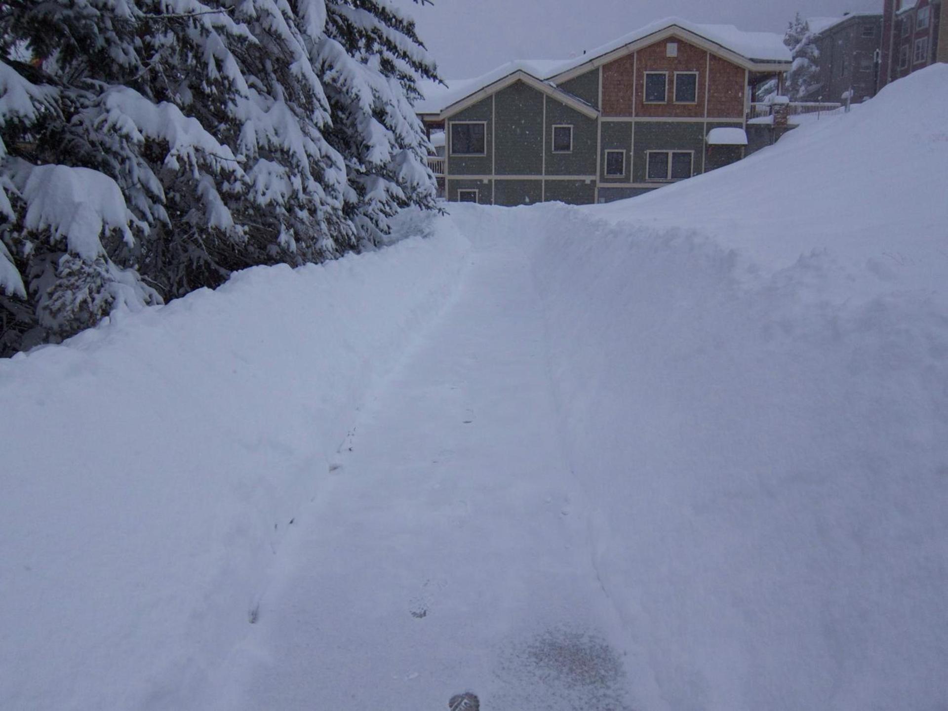 Chateau Apres Lodge photo 19