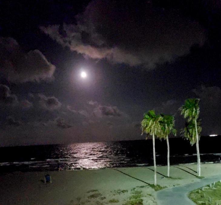 Spectacular Beach View! photo 17