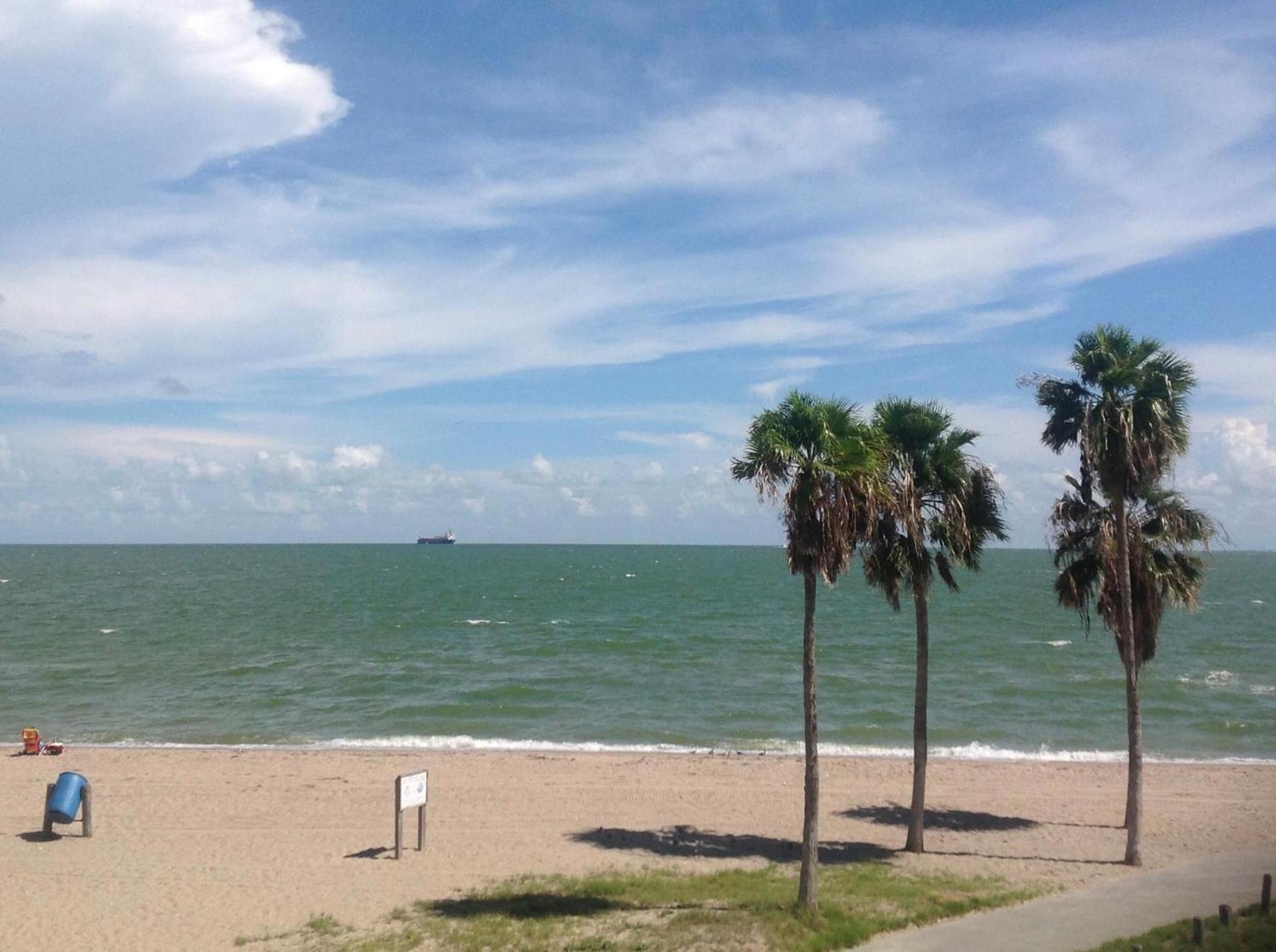 Spectacular Beach View! photo 16