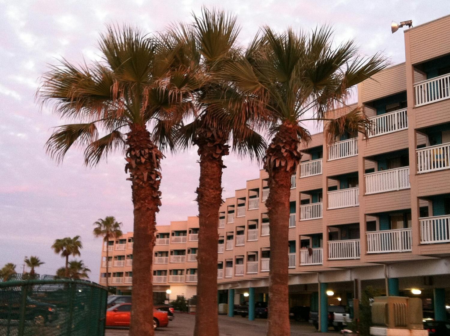 Spectacular Beach View! photo 6