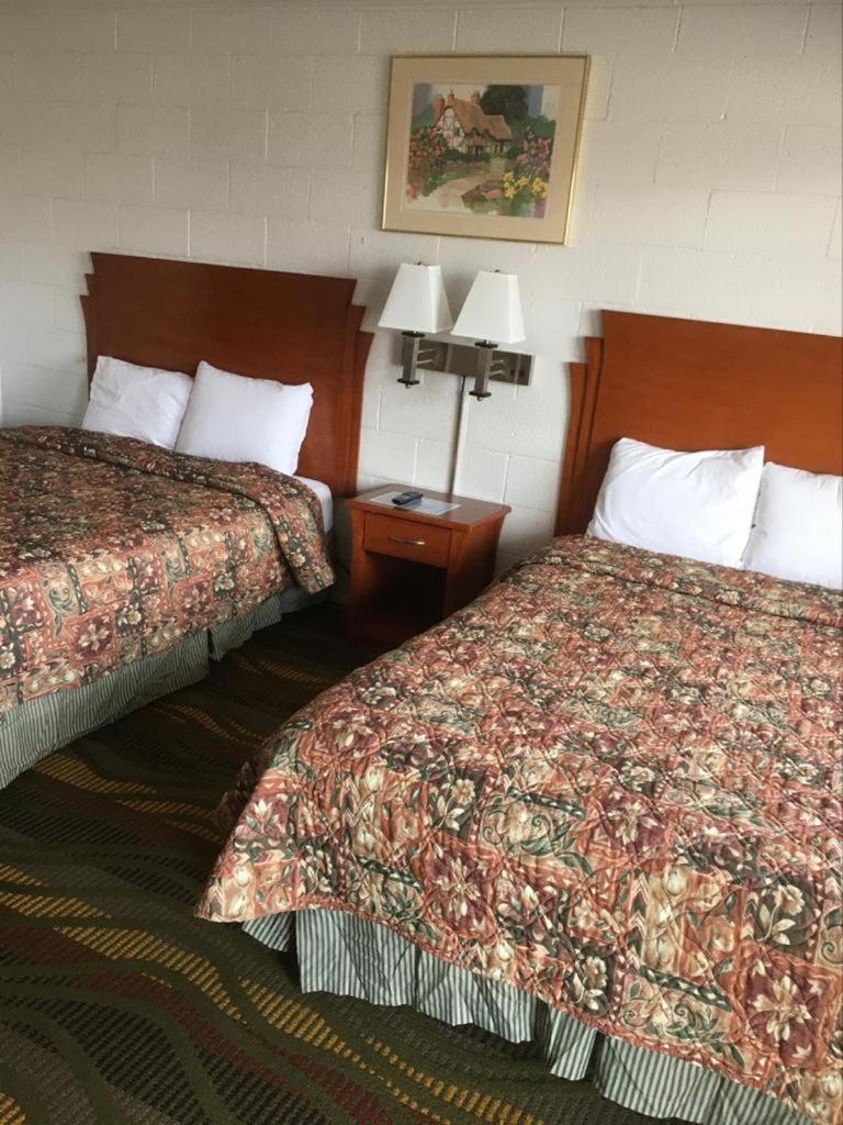 Moon Mist Motel photo 6