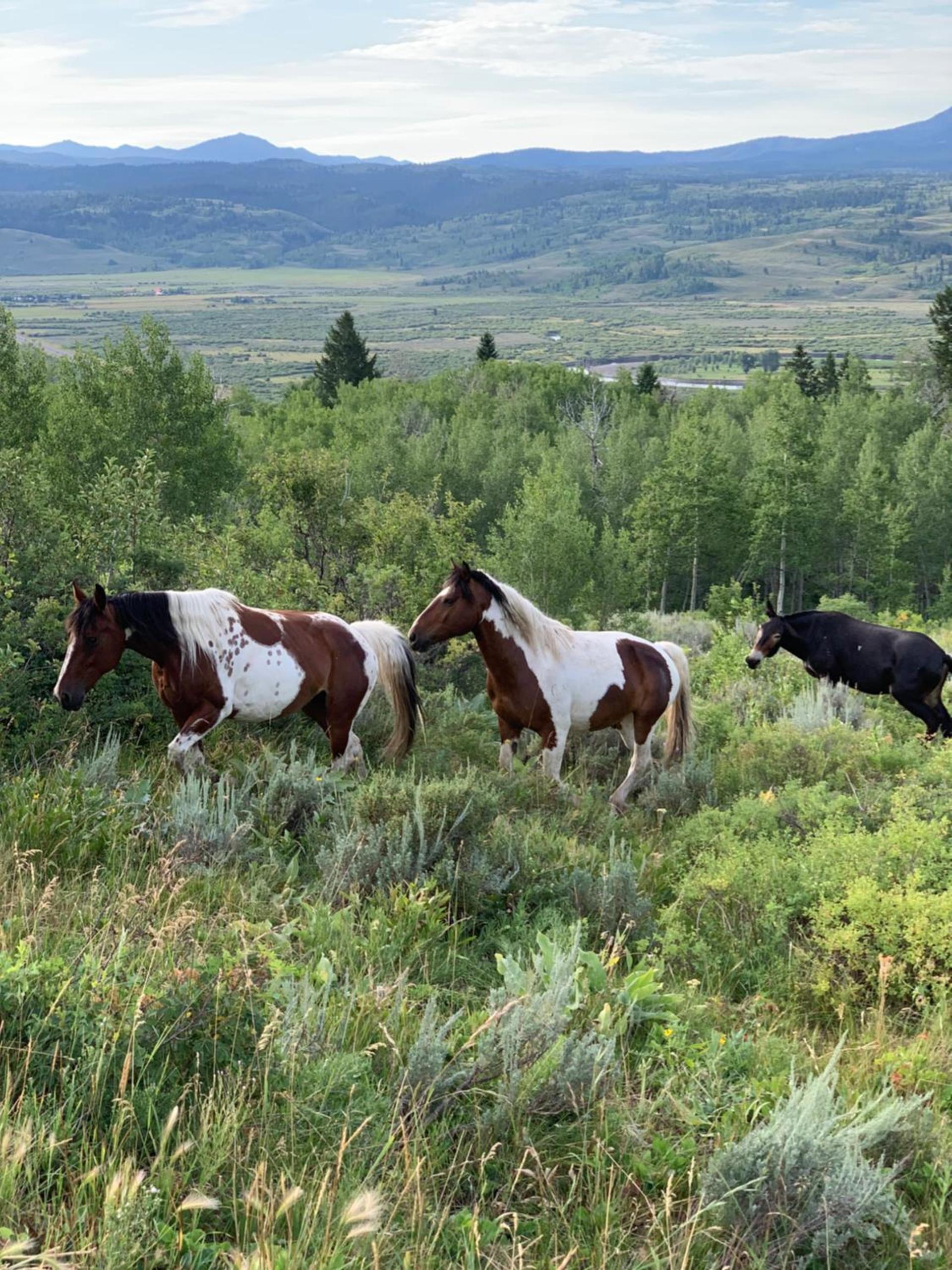 Heart Six Ranch photo 54