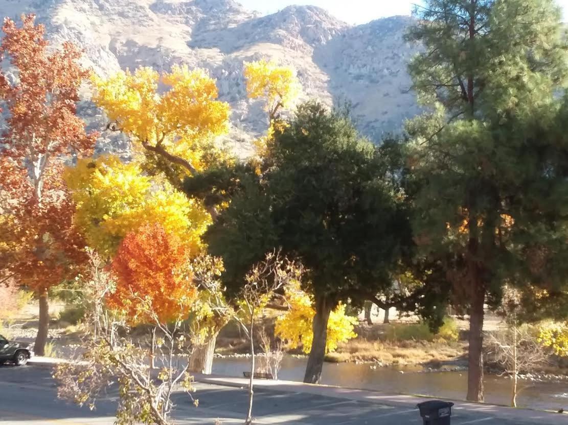 Kern Riverview Inn photo 8