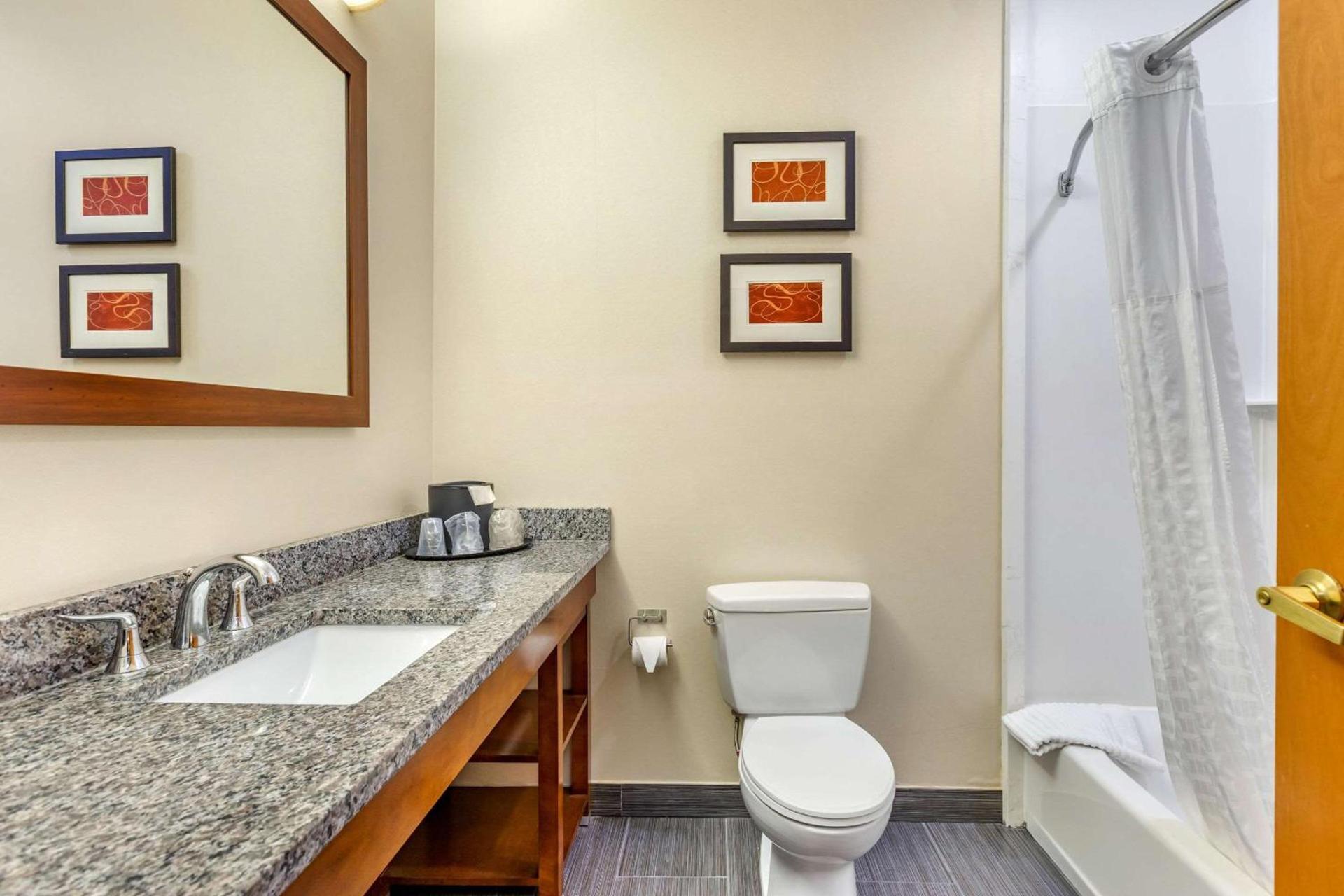 Comfort Suites Southgate-Detroit photo 4