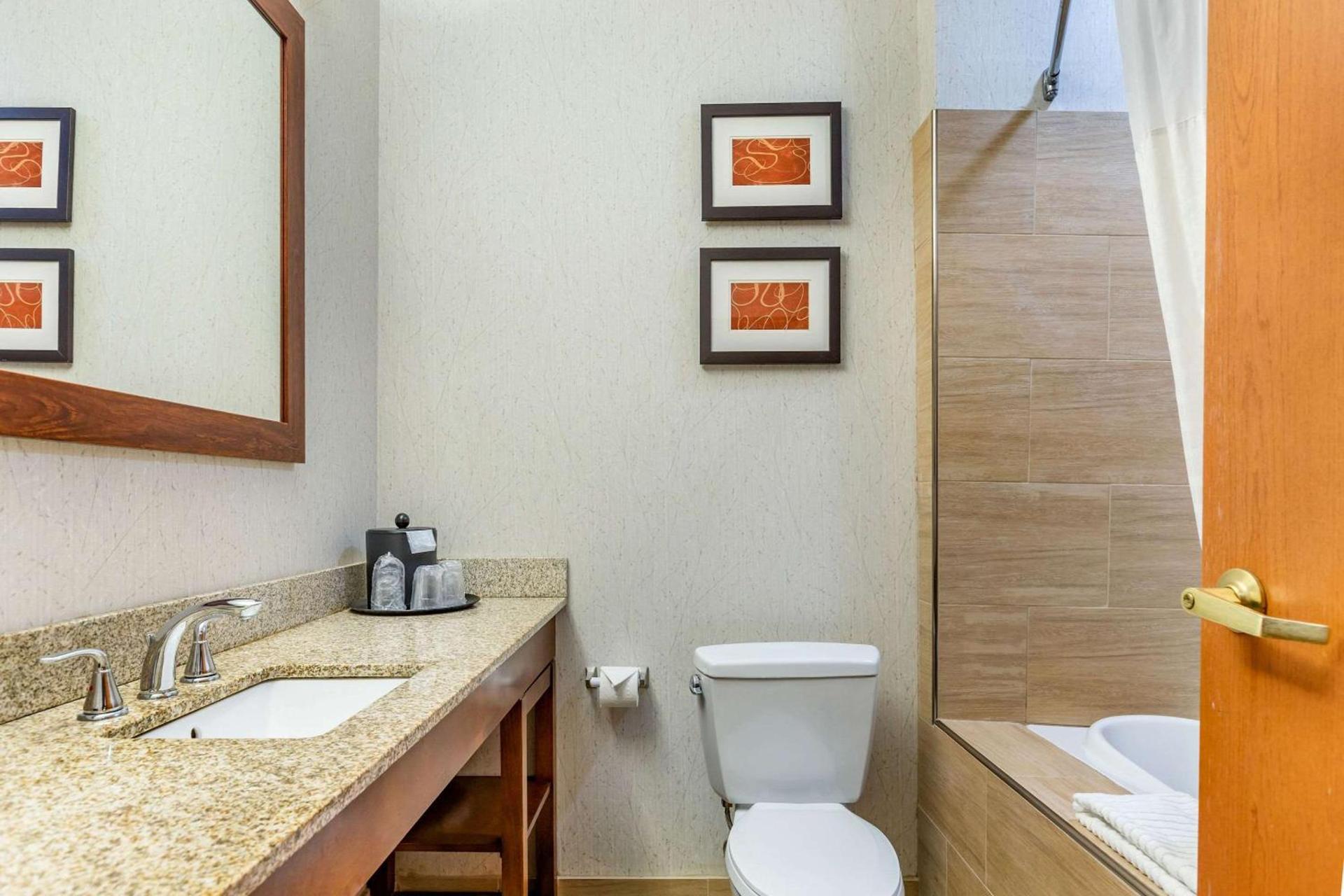 Comfort Suites Southgate-Detroit photo 12