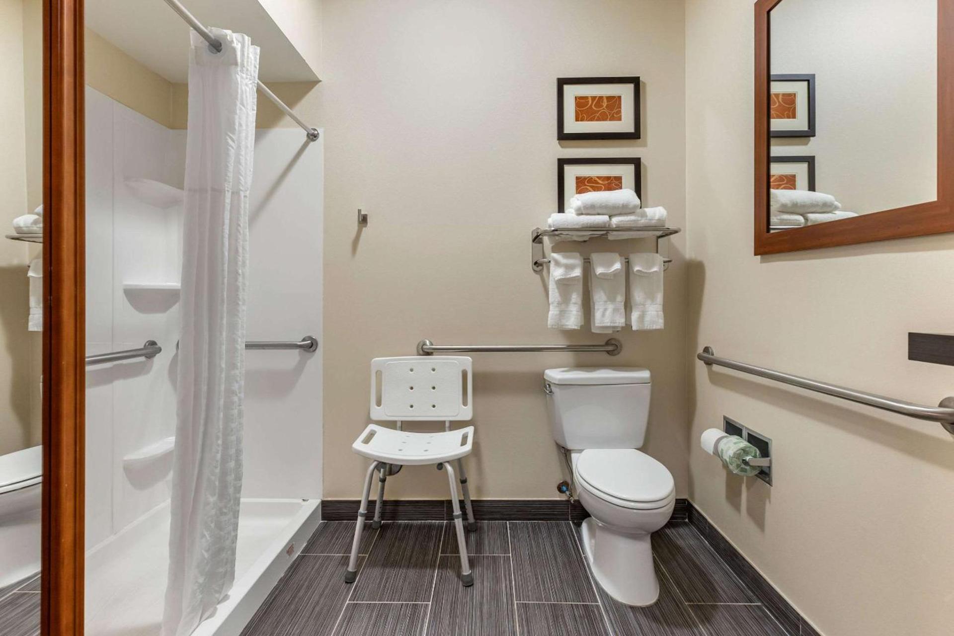 Comfort Suites Southgate-Detroit photo 18