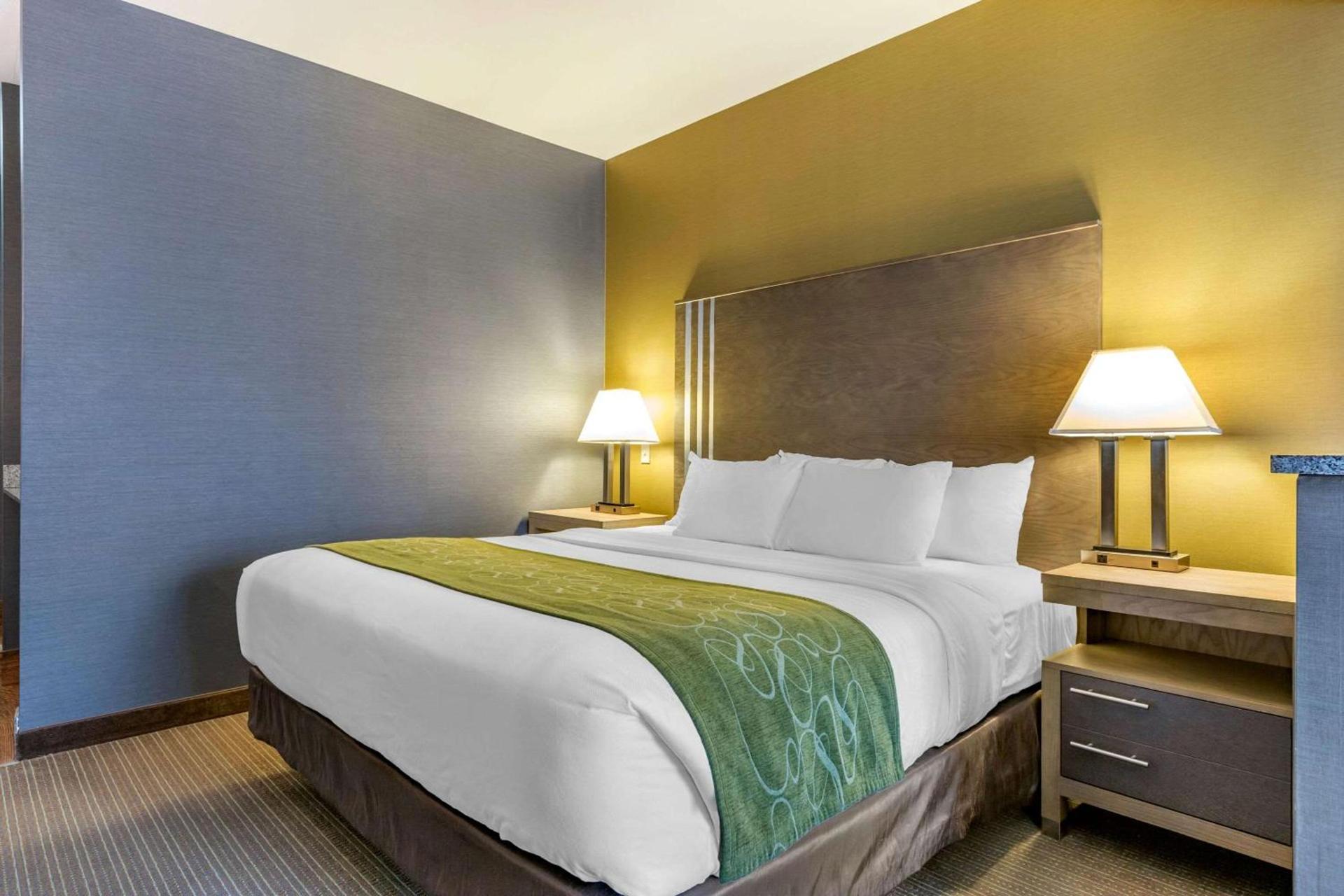 Comfort Suites Southgate-Detroit photo 27