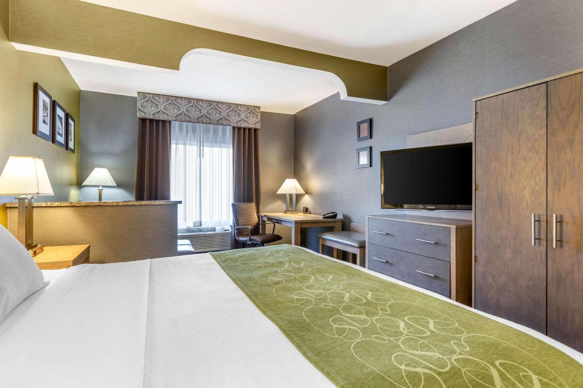 Comfort Suites Southgate-Detroit photo 30